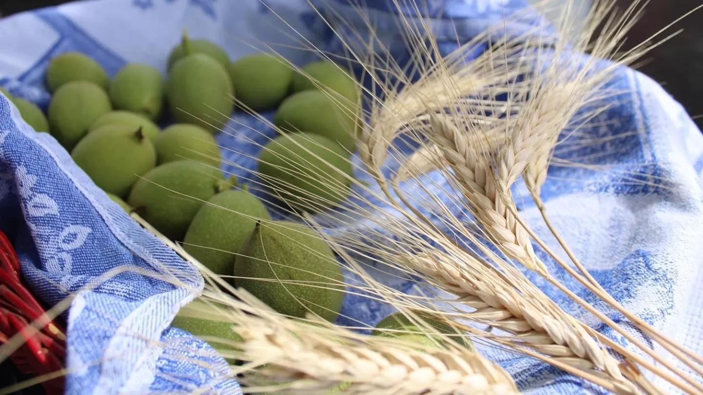 Sala dell Estate Guest House