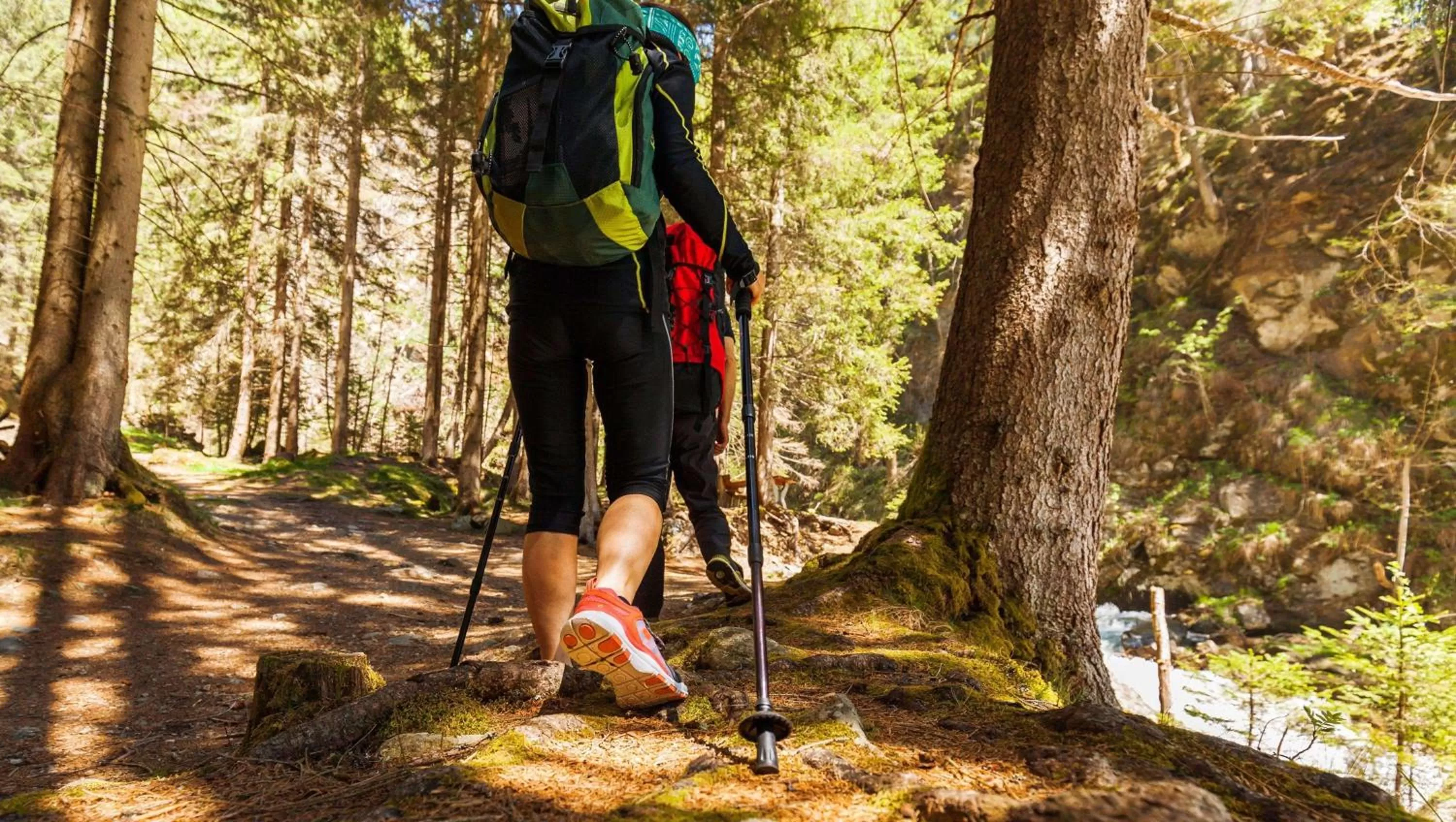 Nearby landmark in Motel Forrest Rockville