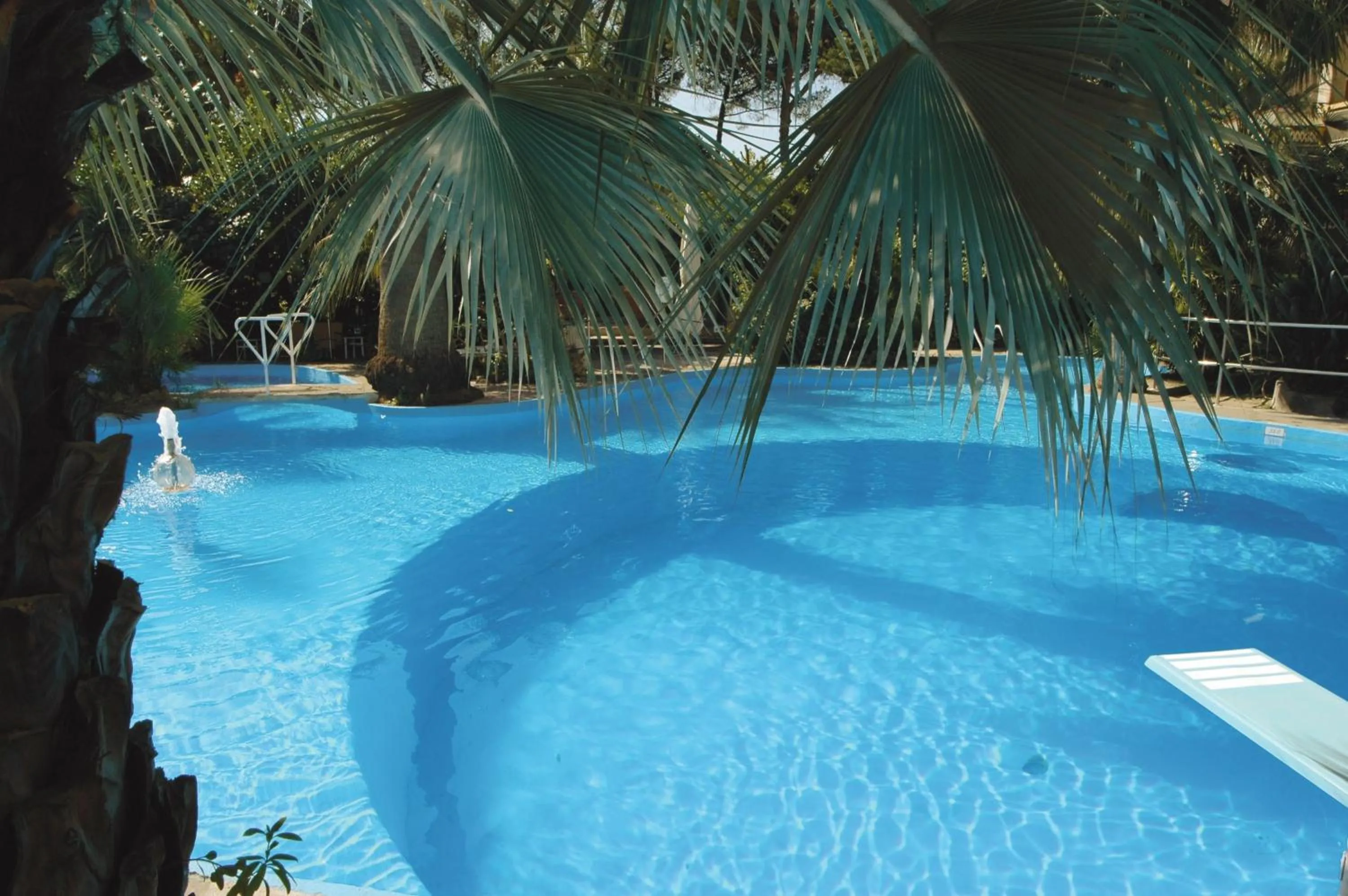 Garden in Reginna Palace Hotel