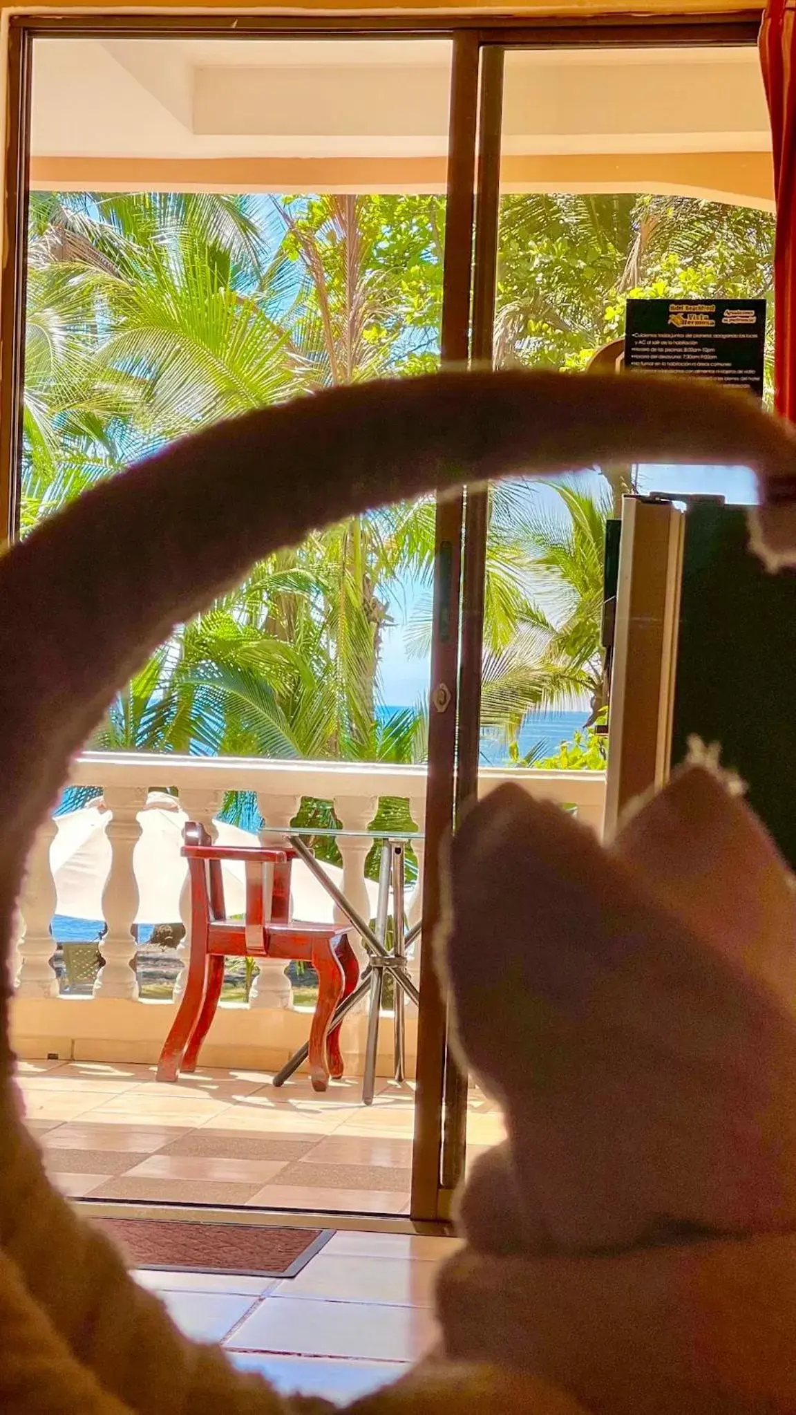 Junior Suite with Ocean View in Hotel Beachfront Vista Hermosa Junior Suite with Ocean View in Hotel Beachfront Vista Hermosa