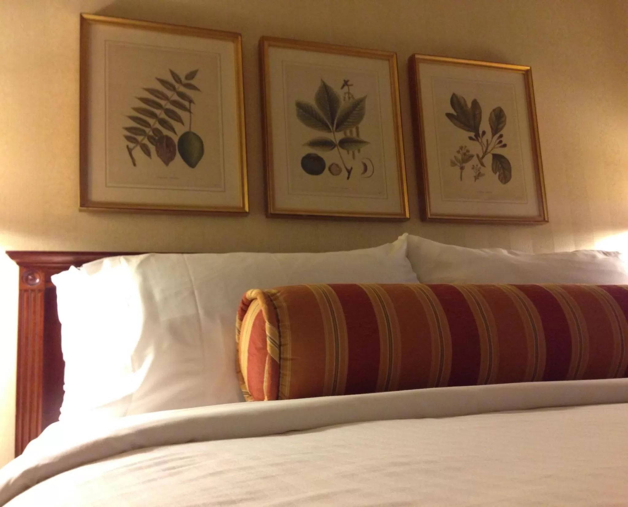 Deluxe King Room in Mayflower Park Hotel