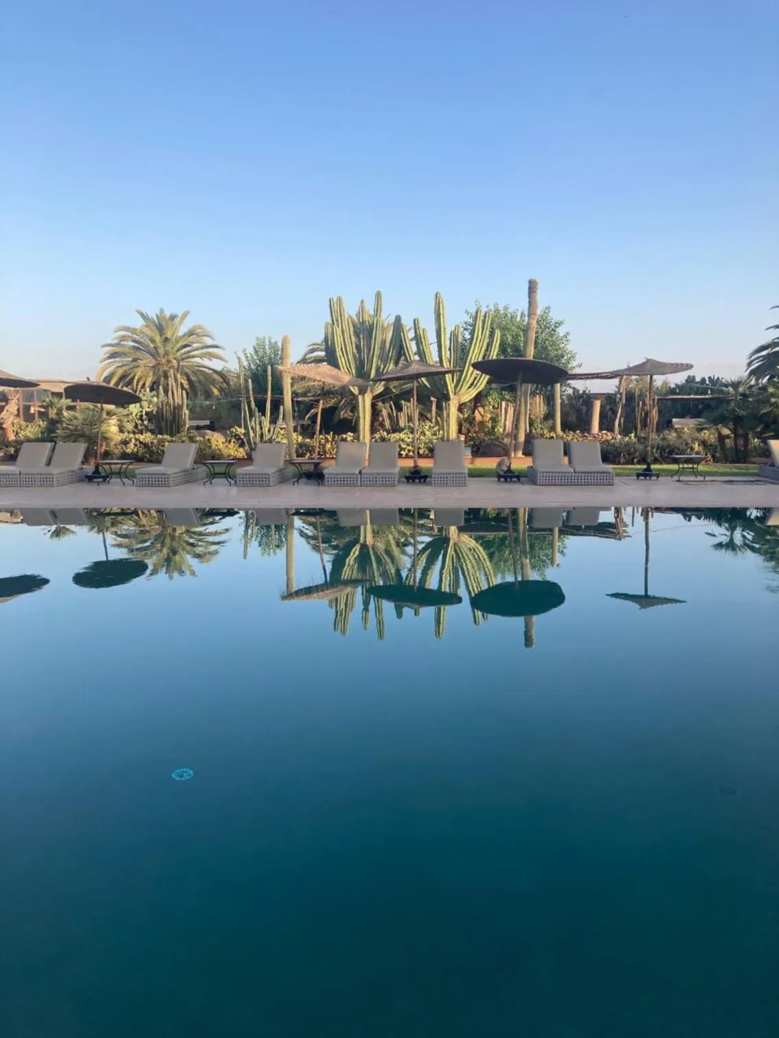 Restaurant/places to eat in Fellah Hotel