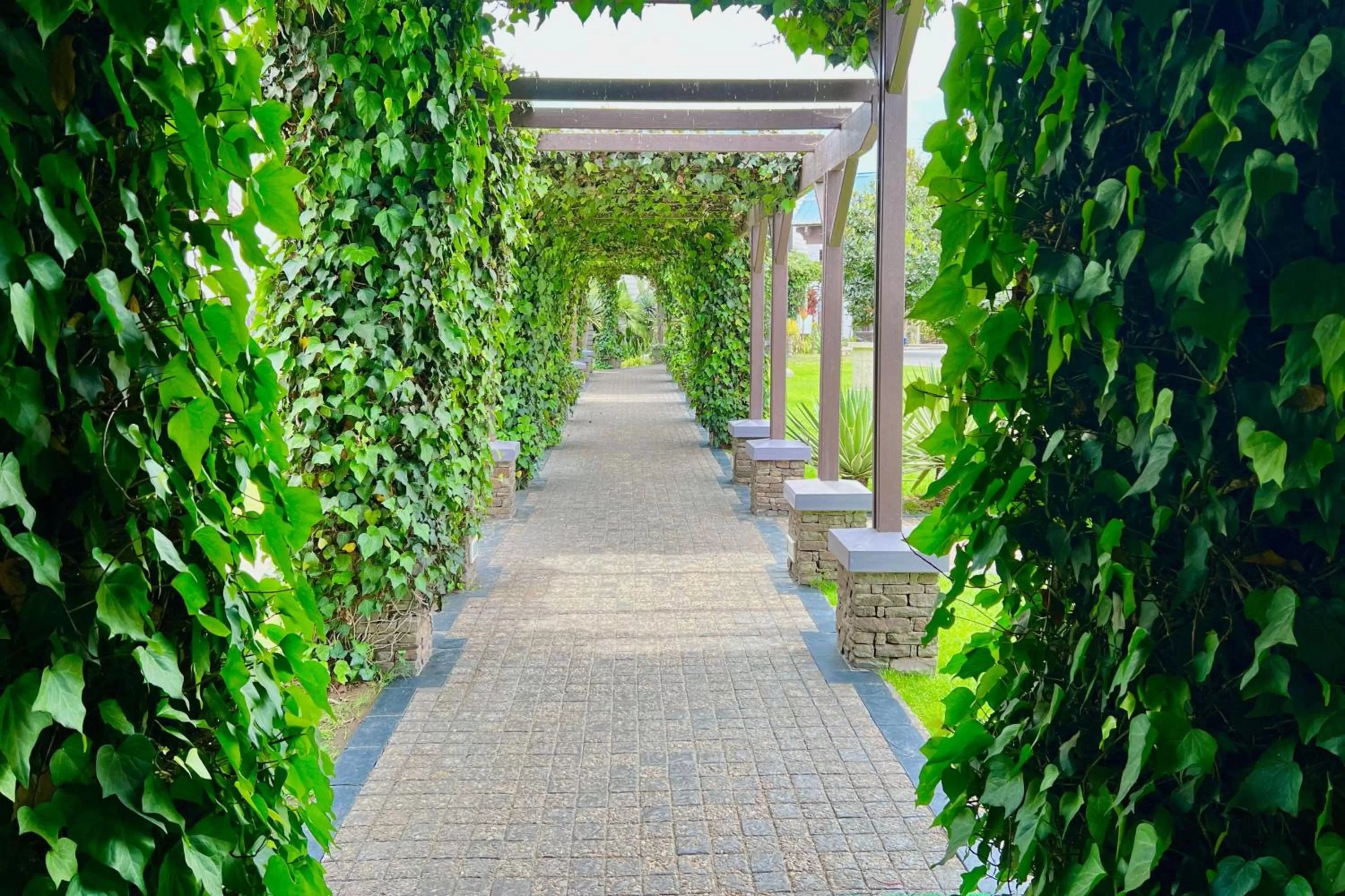 Restaurant/places to eat in Protea Hotel by Marriott Walvis Bay Pelican Bay