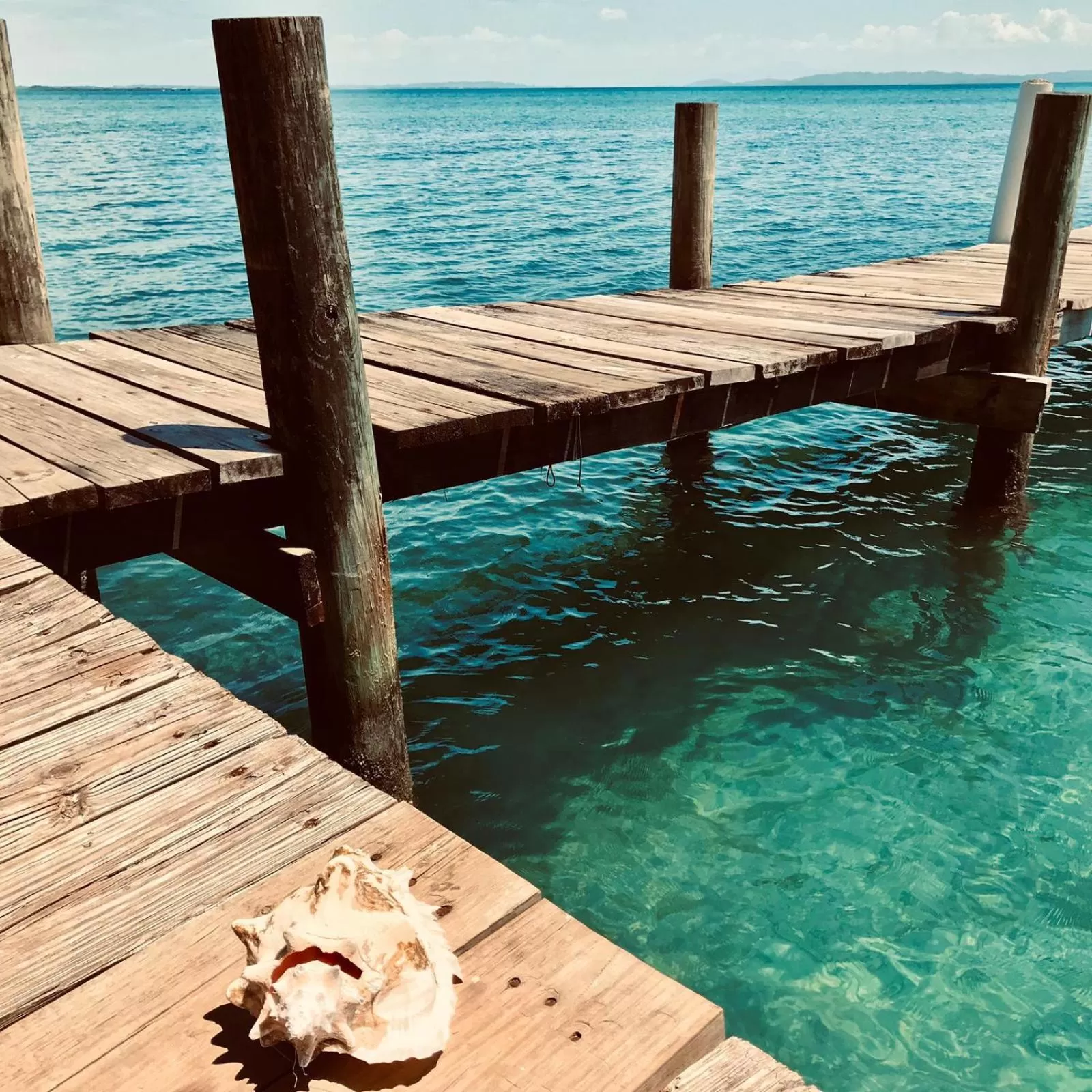 Swimming Pool in Casa Acuario Boutique Hotel
