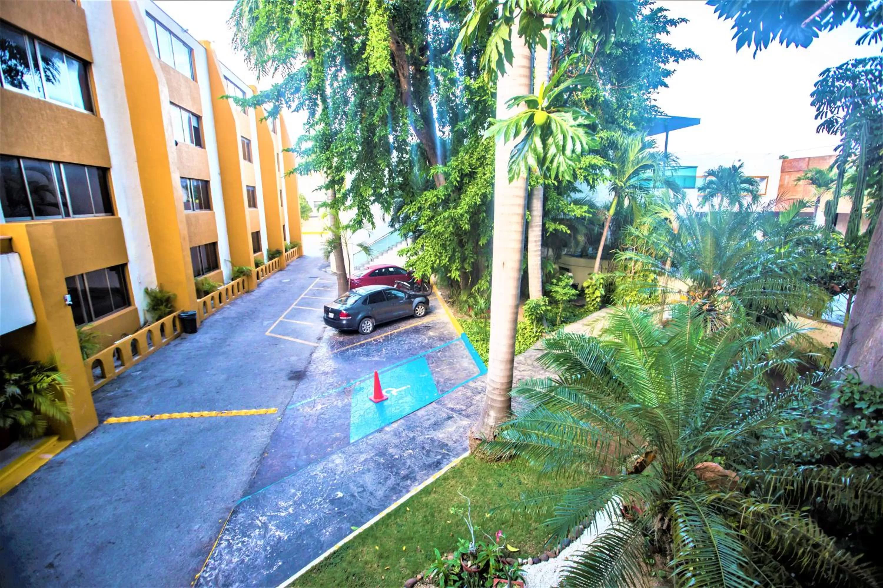 Garden view in Hotel Plaza Mirador