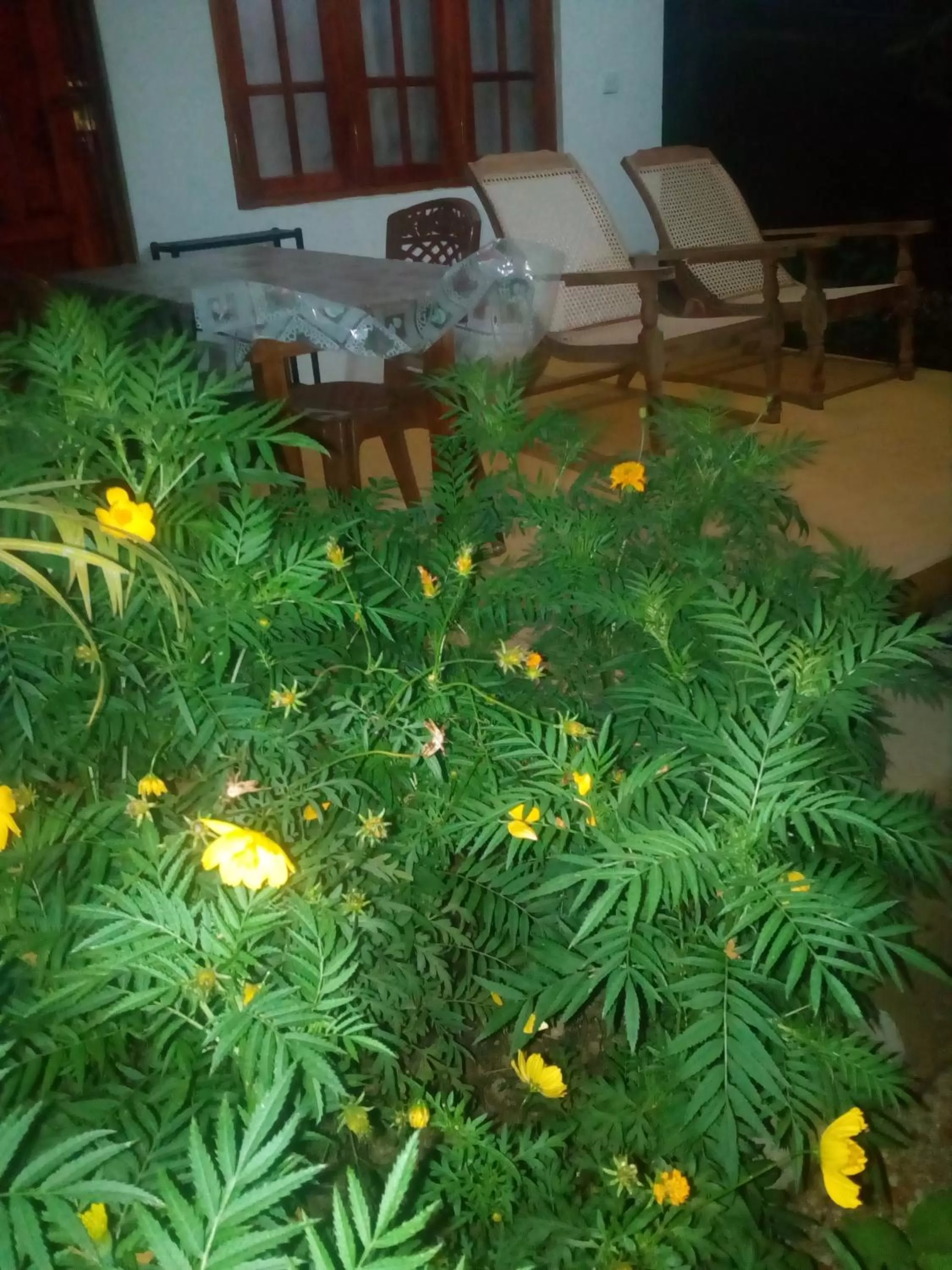 Patio in The Horizon Root Inn