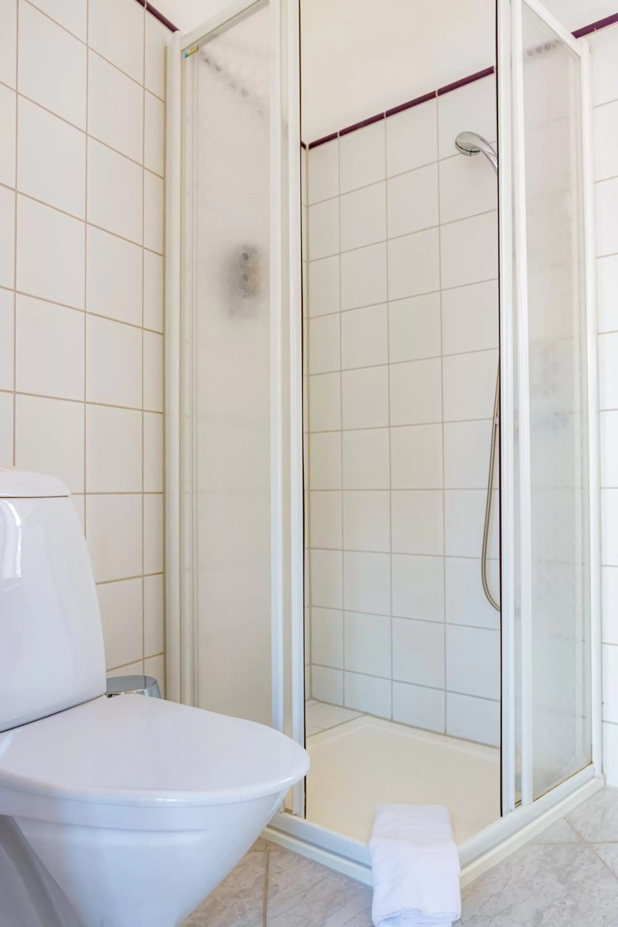 Bathroom in Hotel & Restaurant Brauner Hirsch Osterwieck