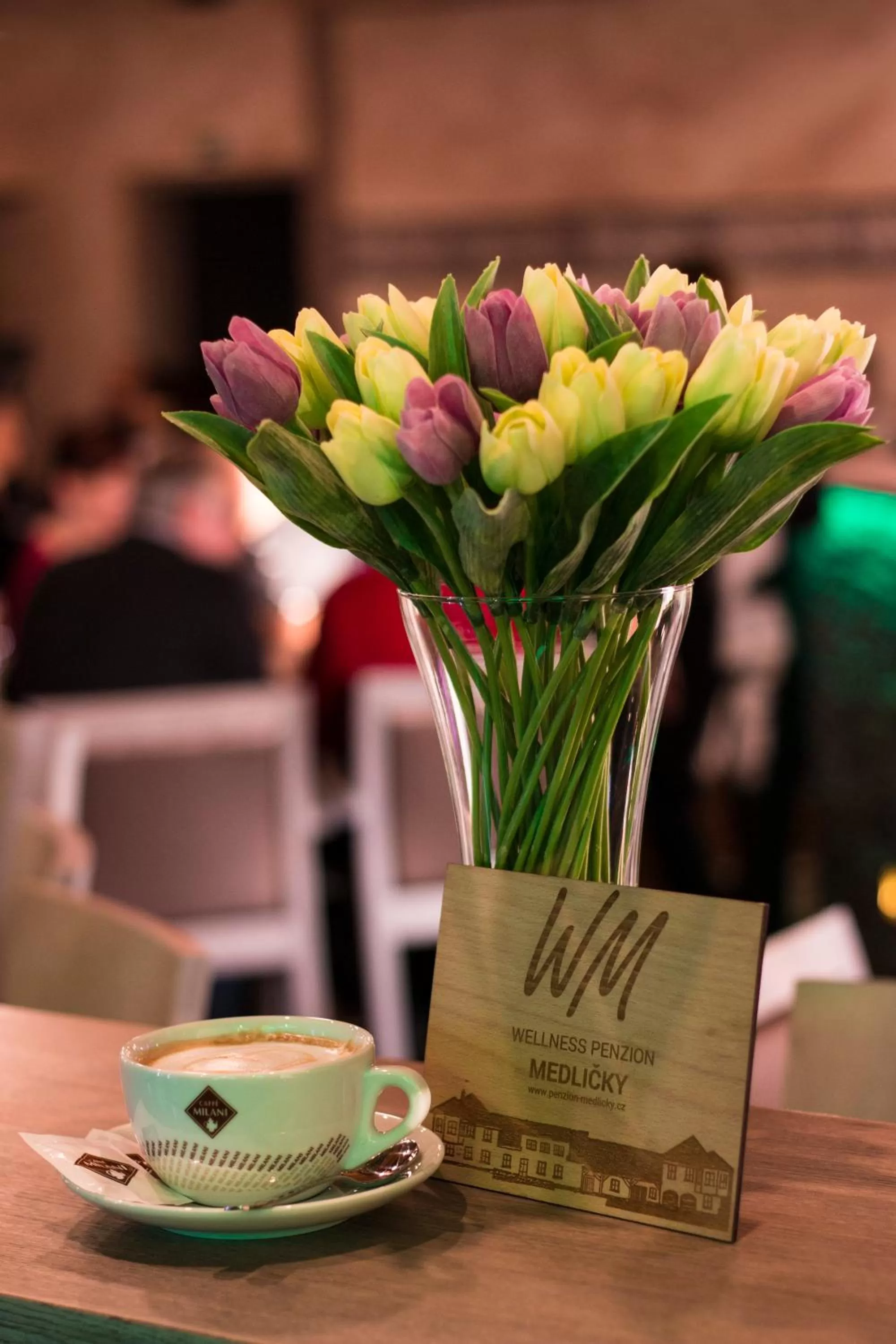 Wellness penzion Medličky