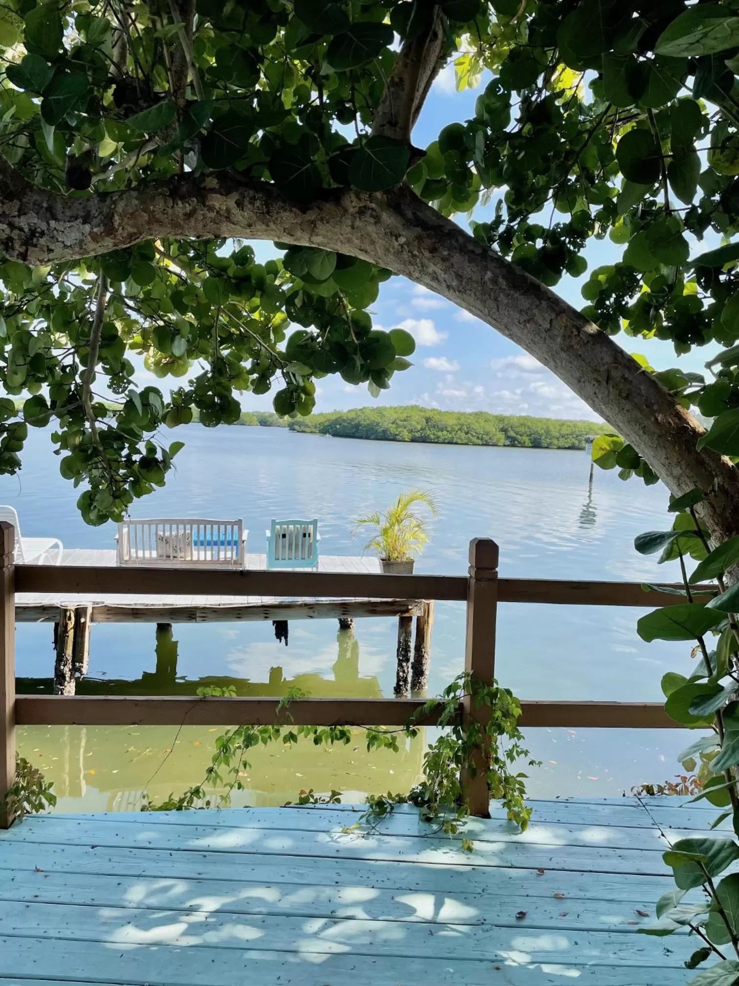 Patio in Turtle Beach Resort