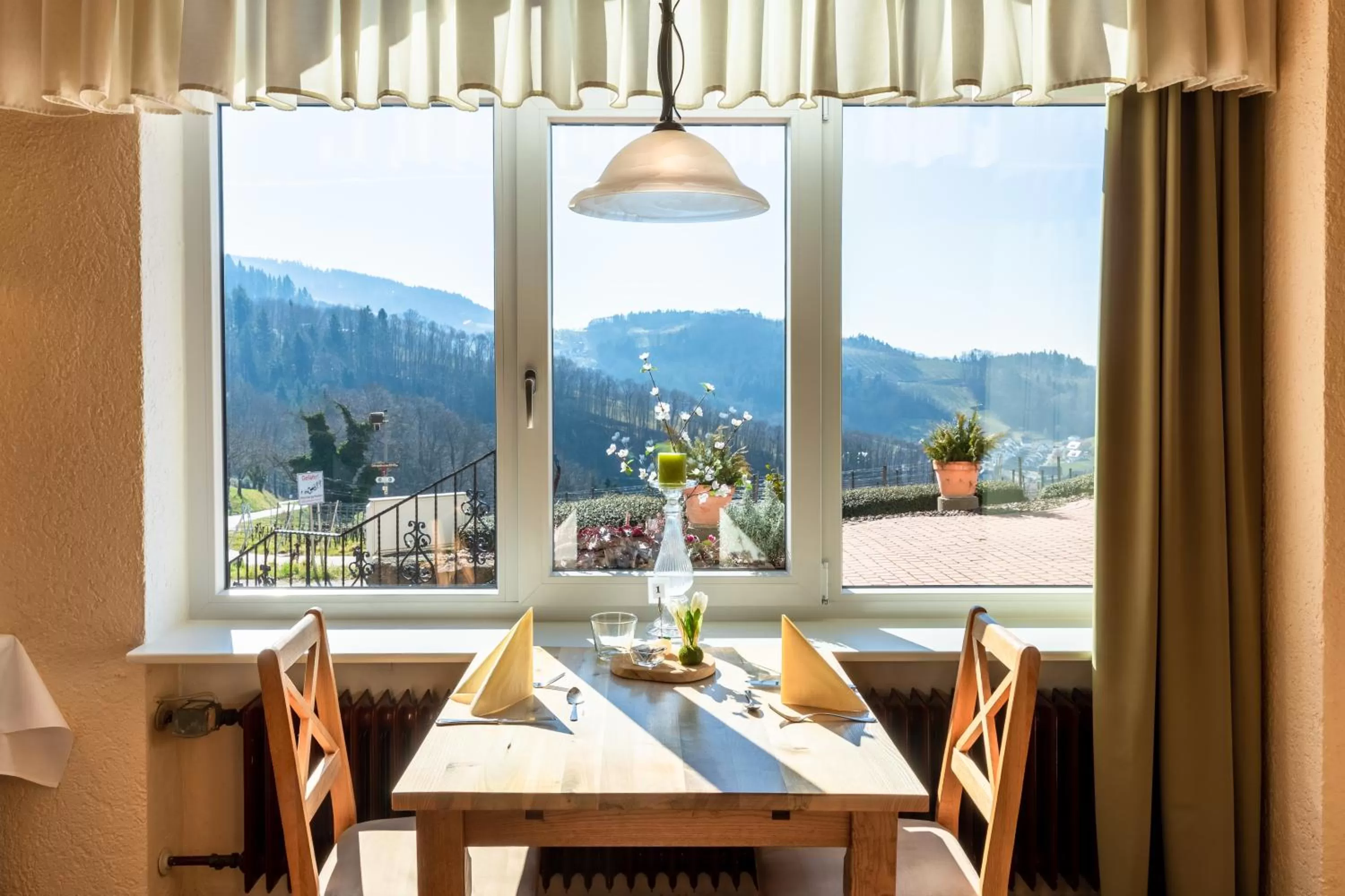 Mountain view, Restaurant/Places to Eat in RelaxHotel Tannenhof