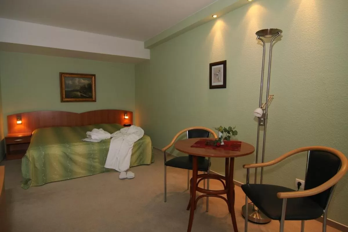 Bed in Hotel Balneolum Superior