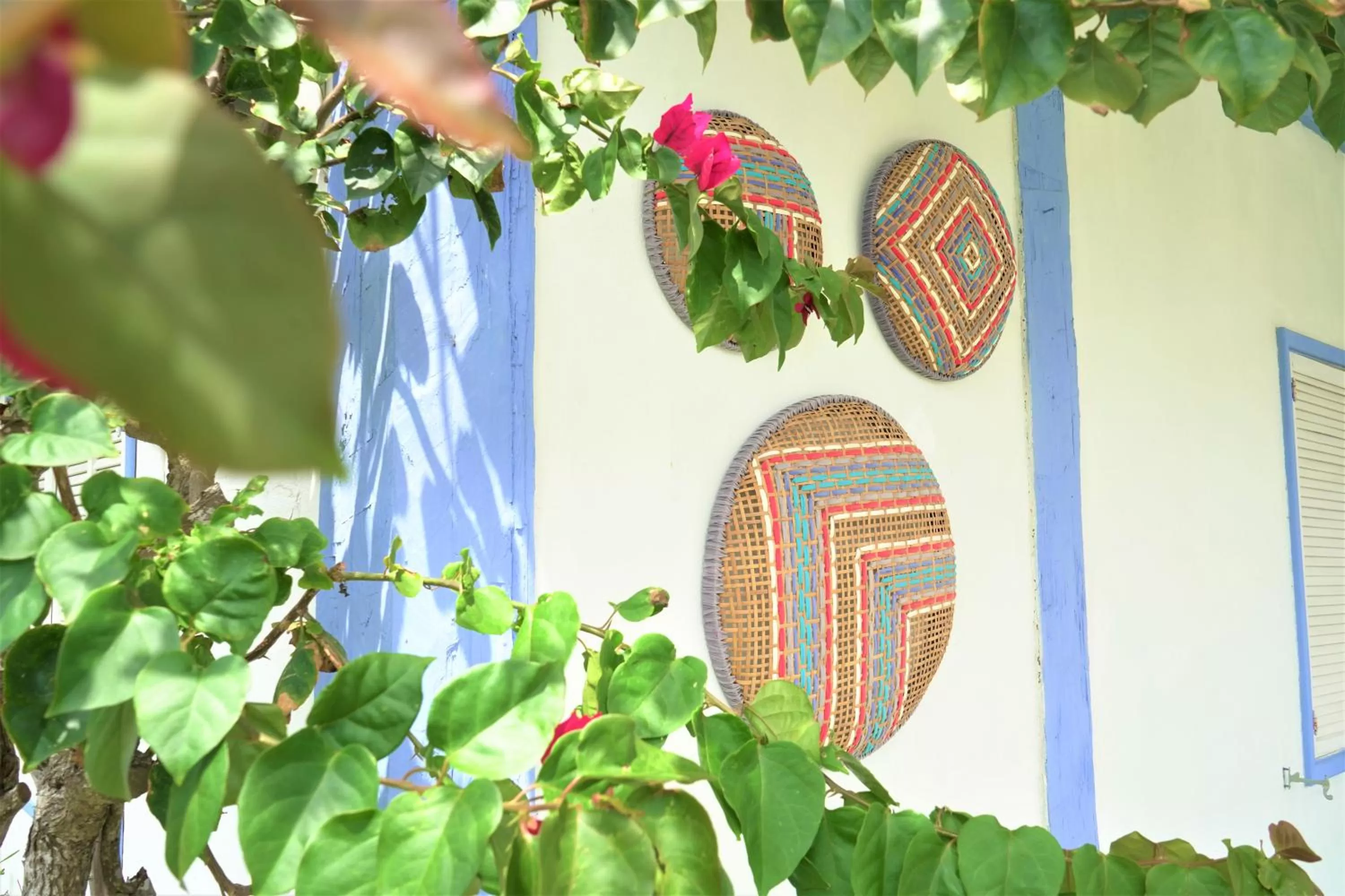 Property Building in Pousada Manaaki