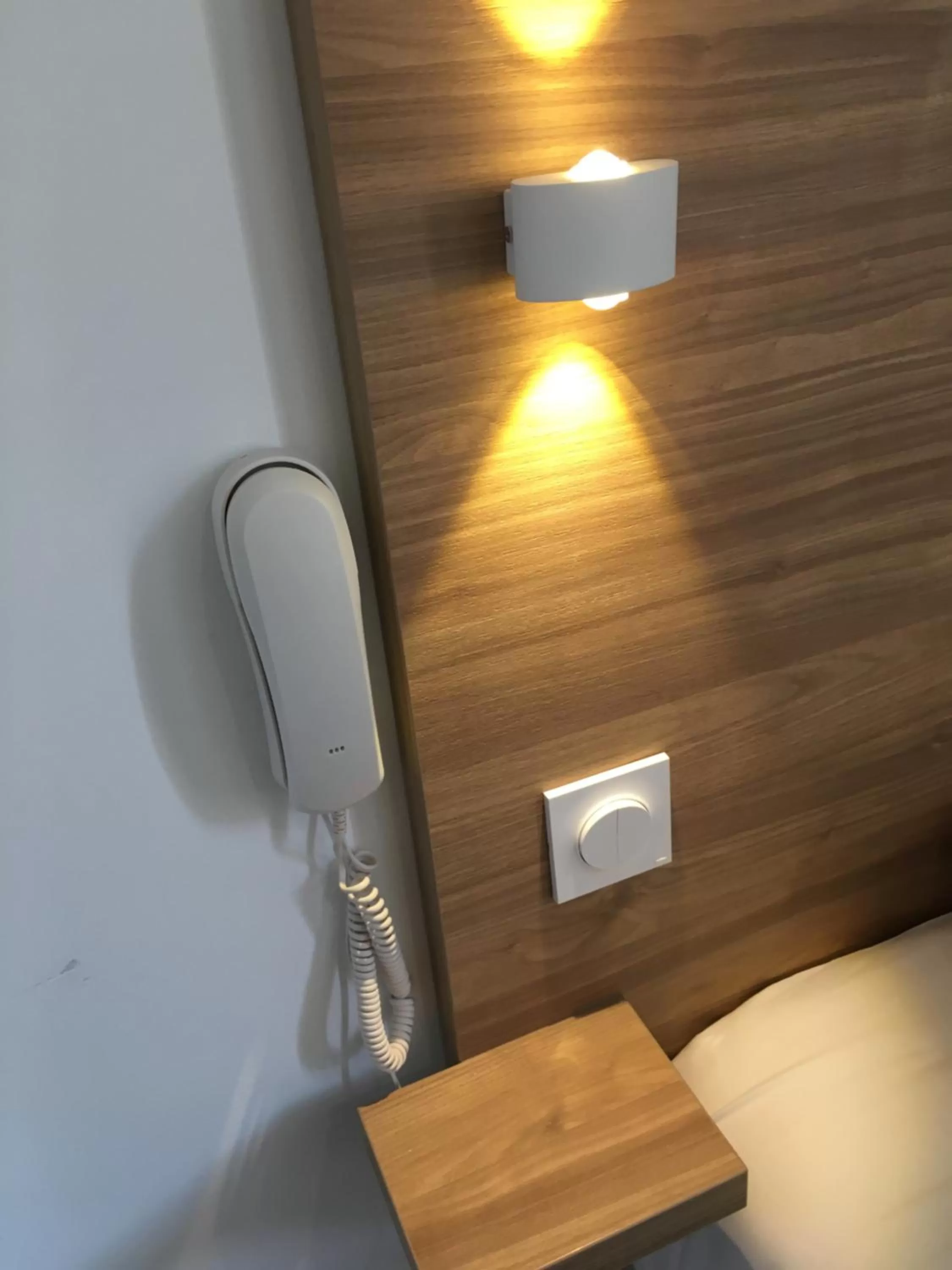 Area and facilities in Hôtel Le Biarritz - Vichy