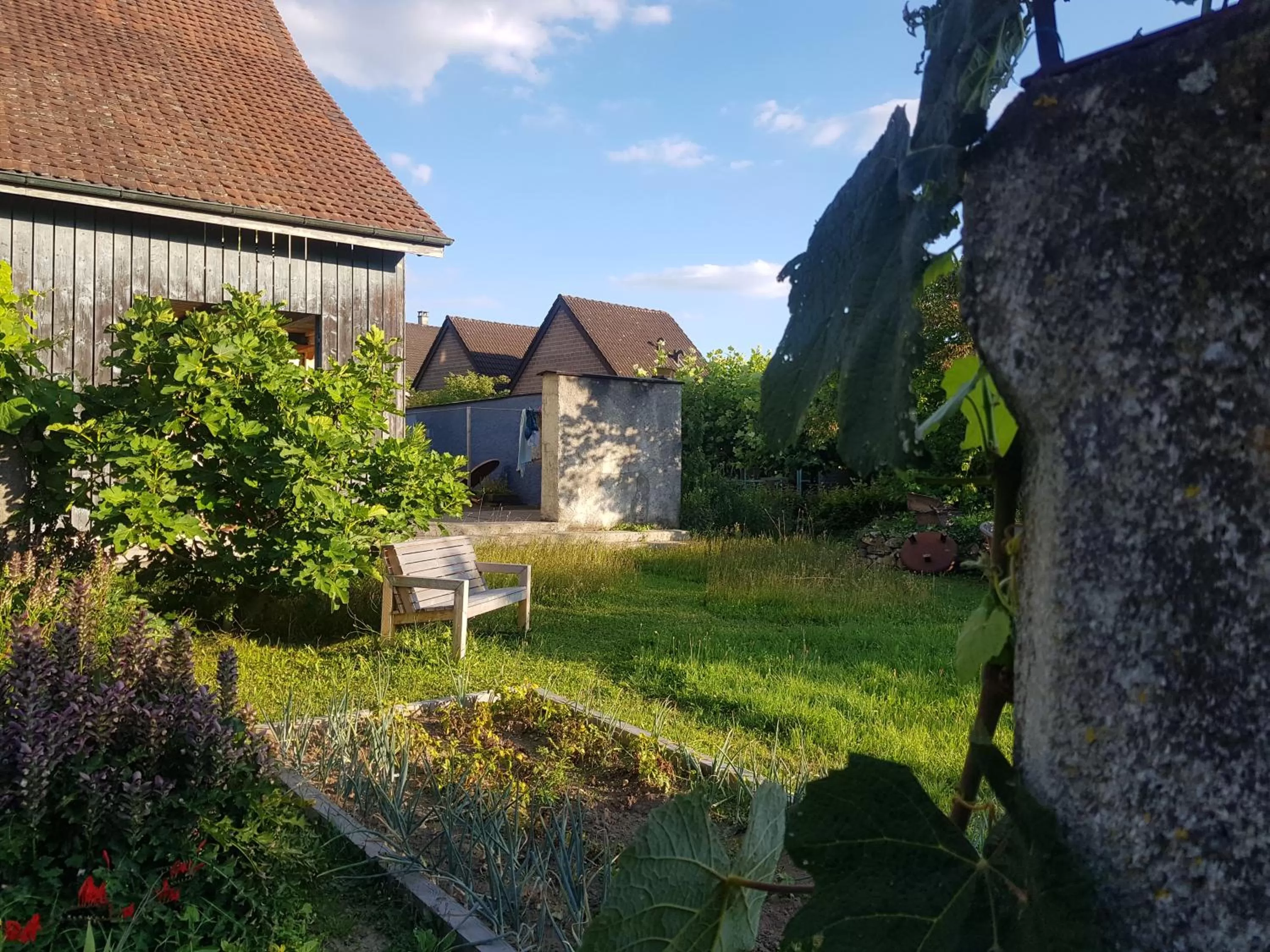 Property Building in Blue Wall BnB