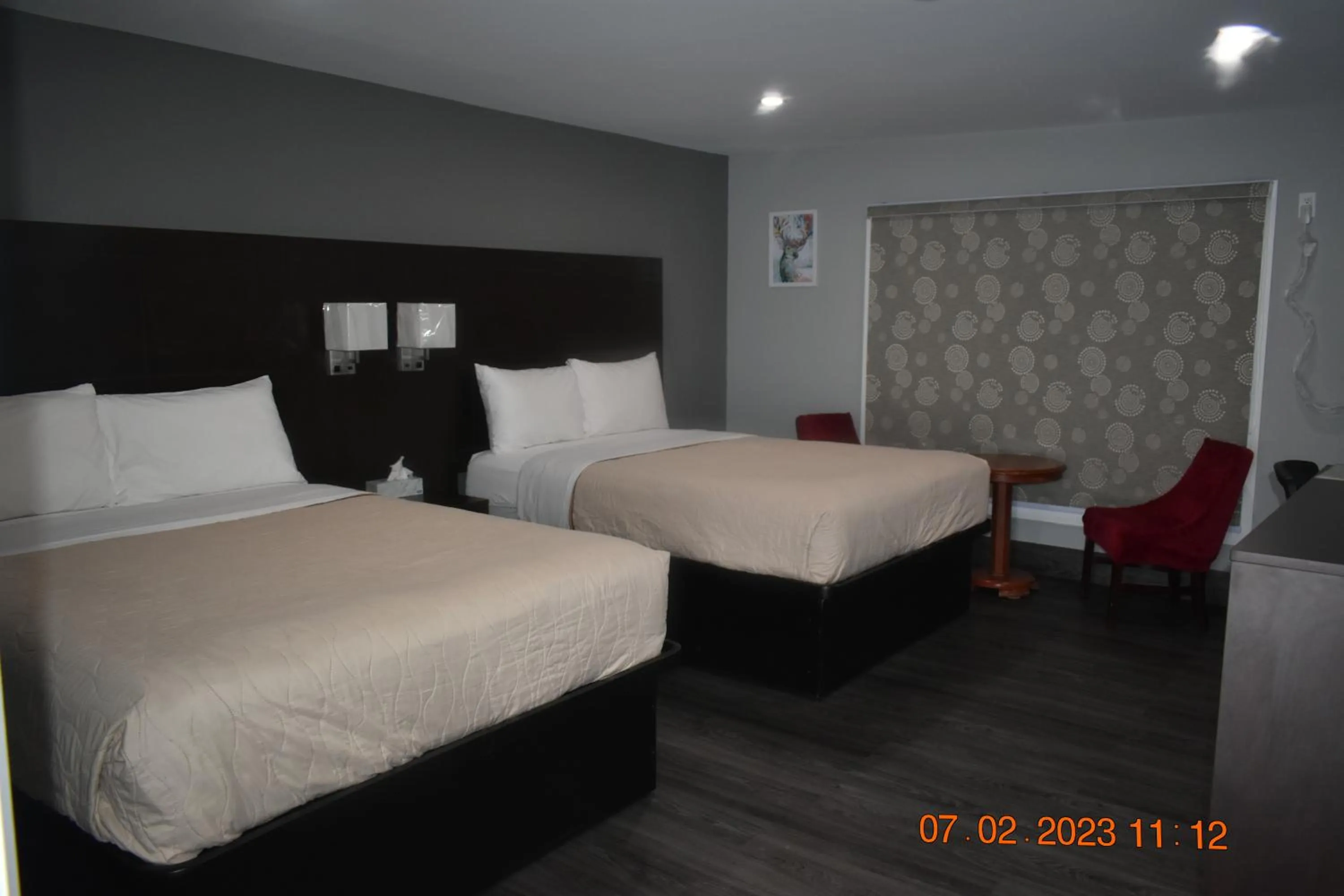 Bed in Time Travellers Motel