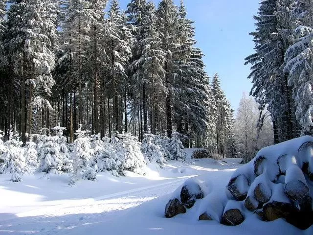 Winter in Hotel Zum Schneekopf "Garni"