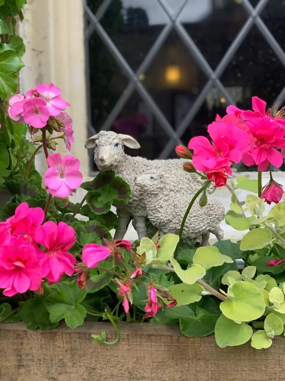 Property building in Shoulder of Mutton Inn