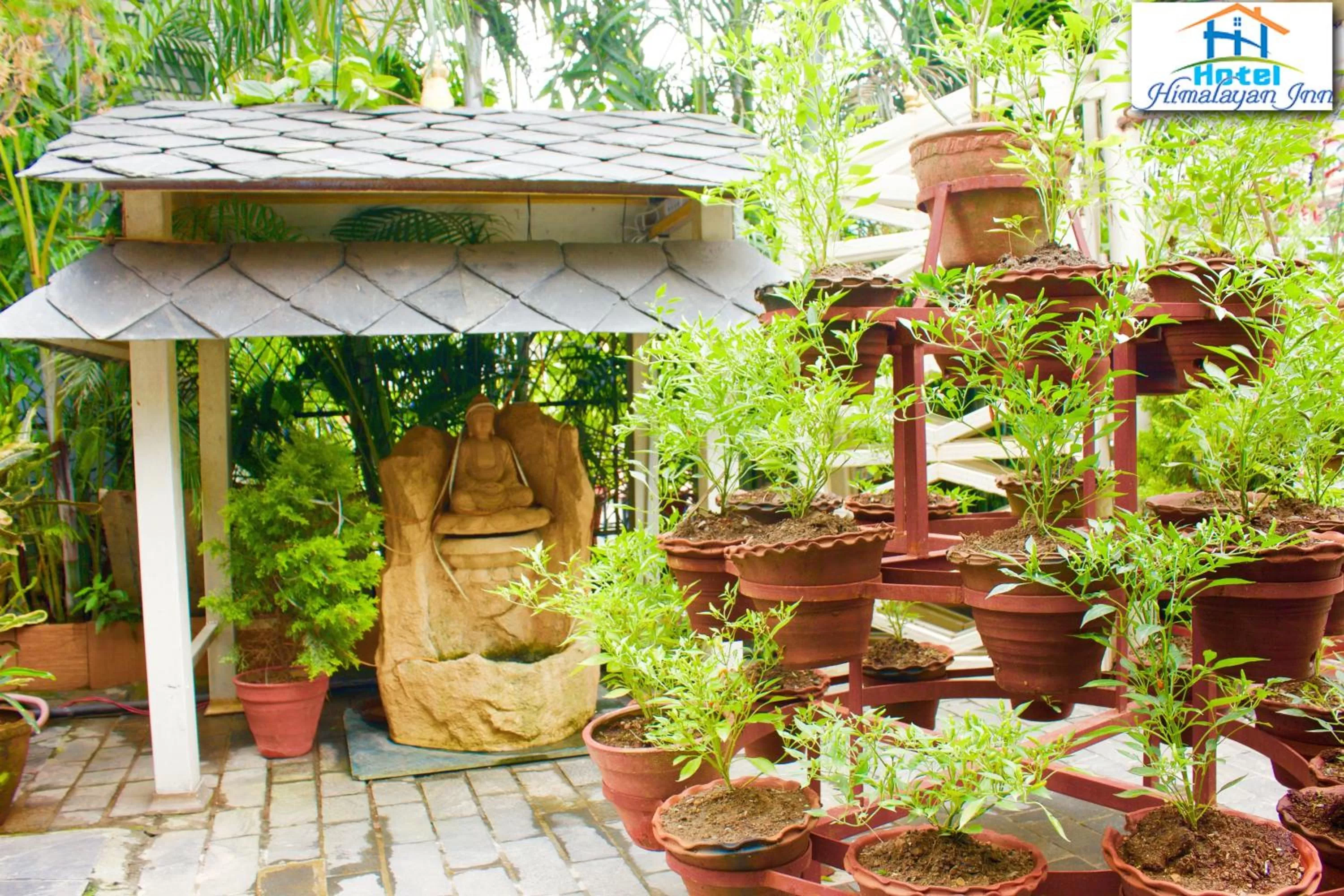 Garden in Hotel Himalayan Inn