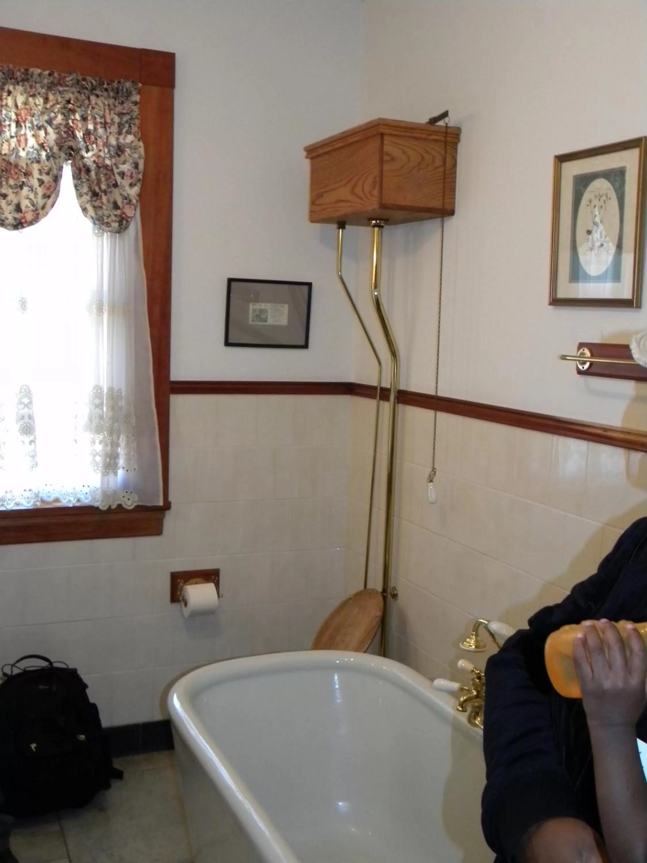 Toilet in Lehmann House Bed & Breakfast