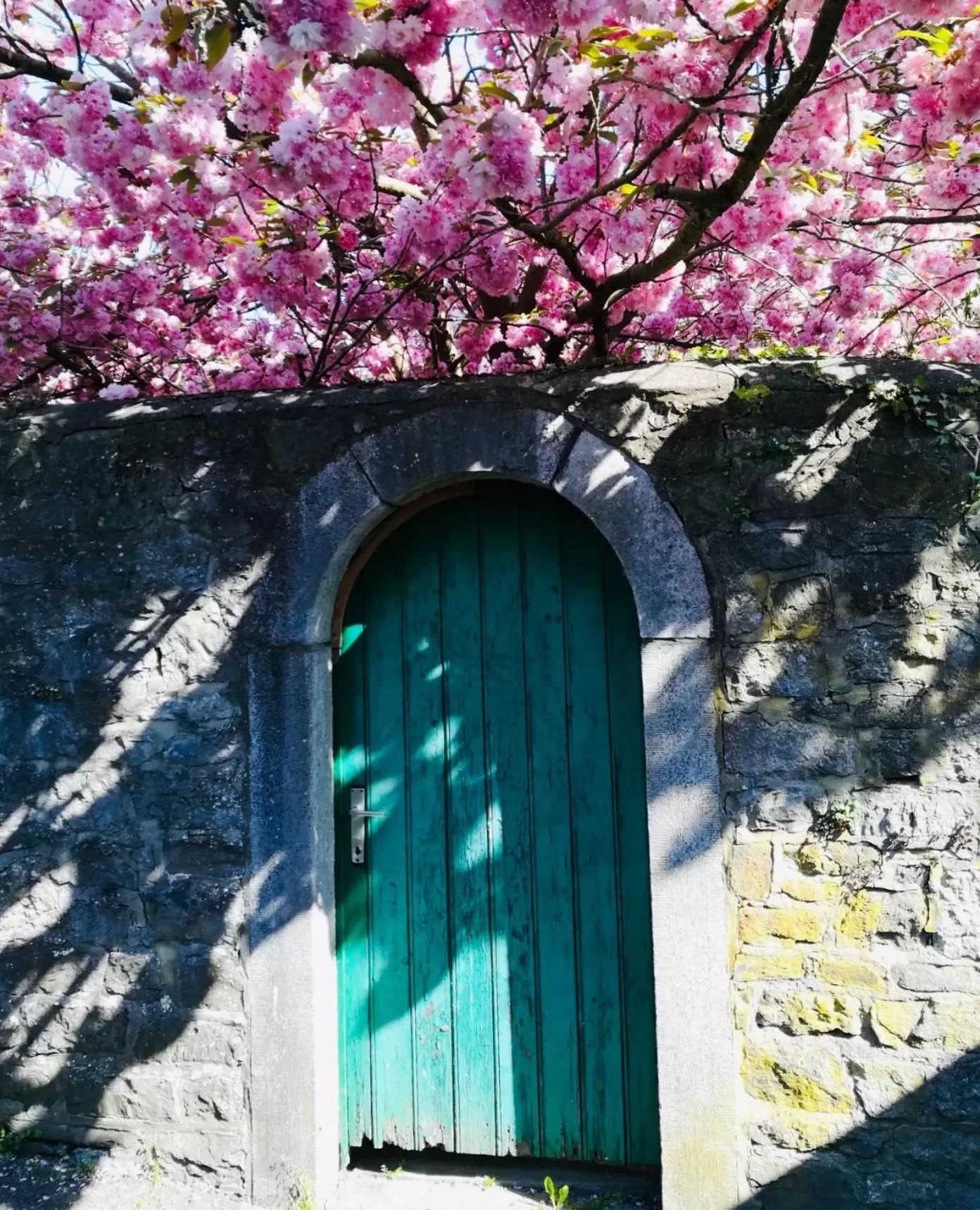 Spring in B&B La Ruelle