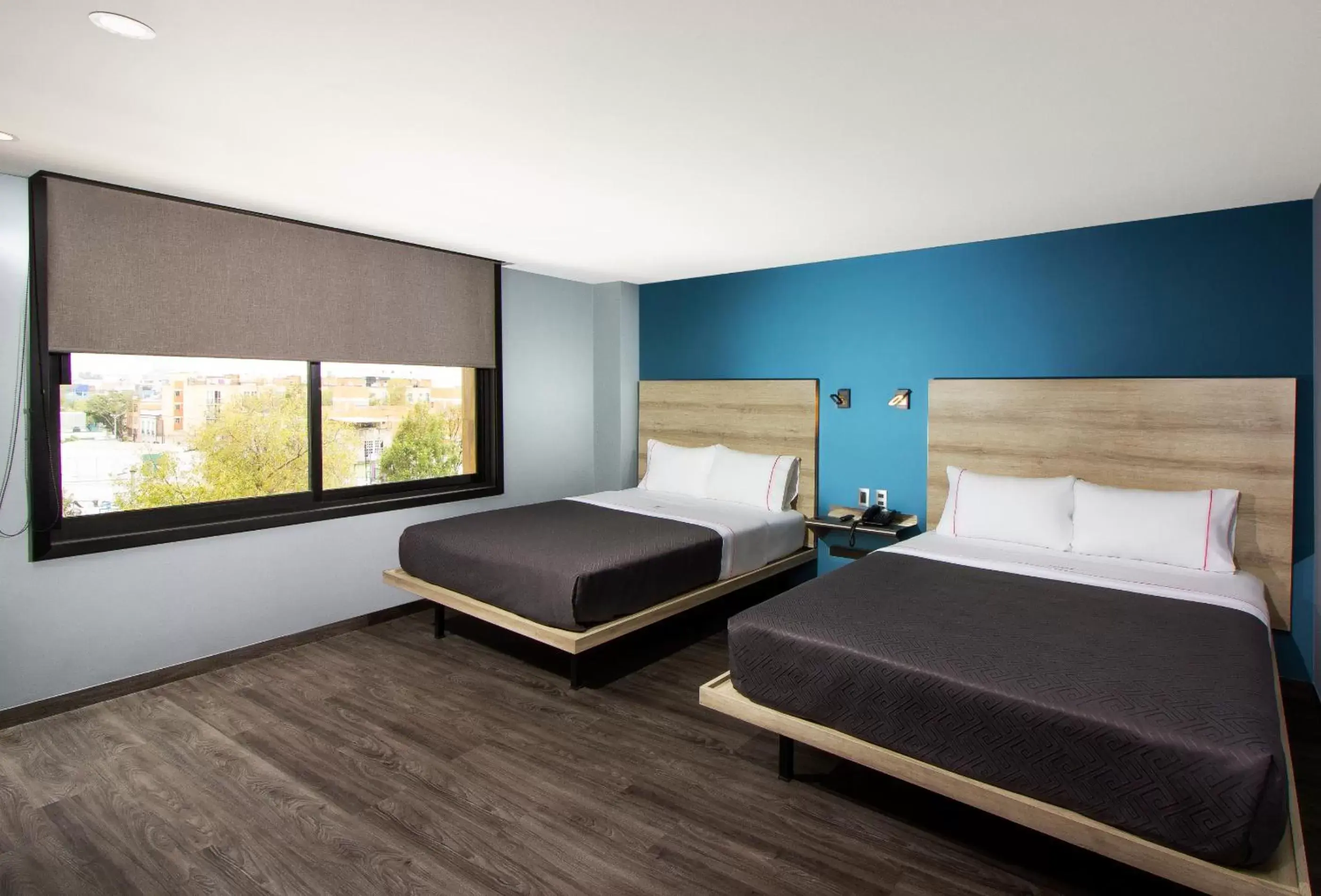 Double Room in Hotel MX lagunilla Double Room in Hotel MX lagunilla