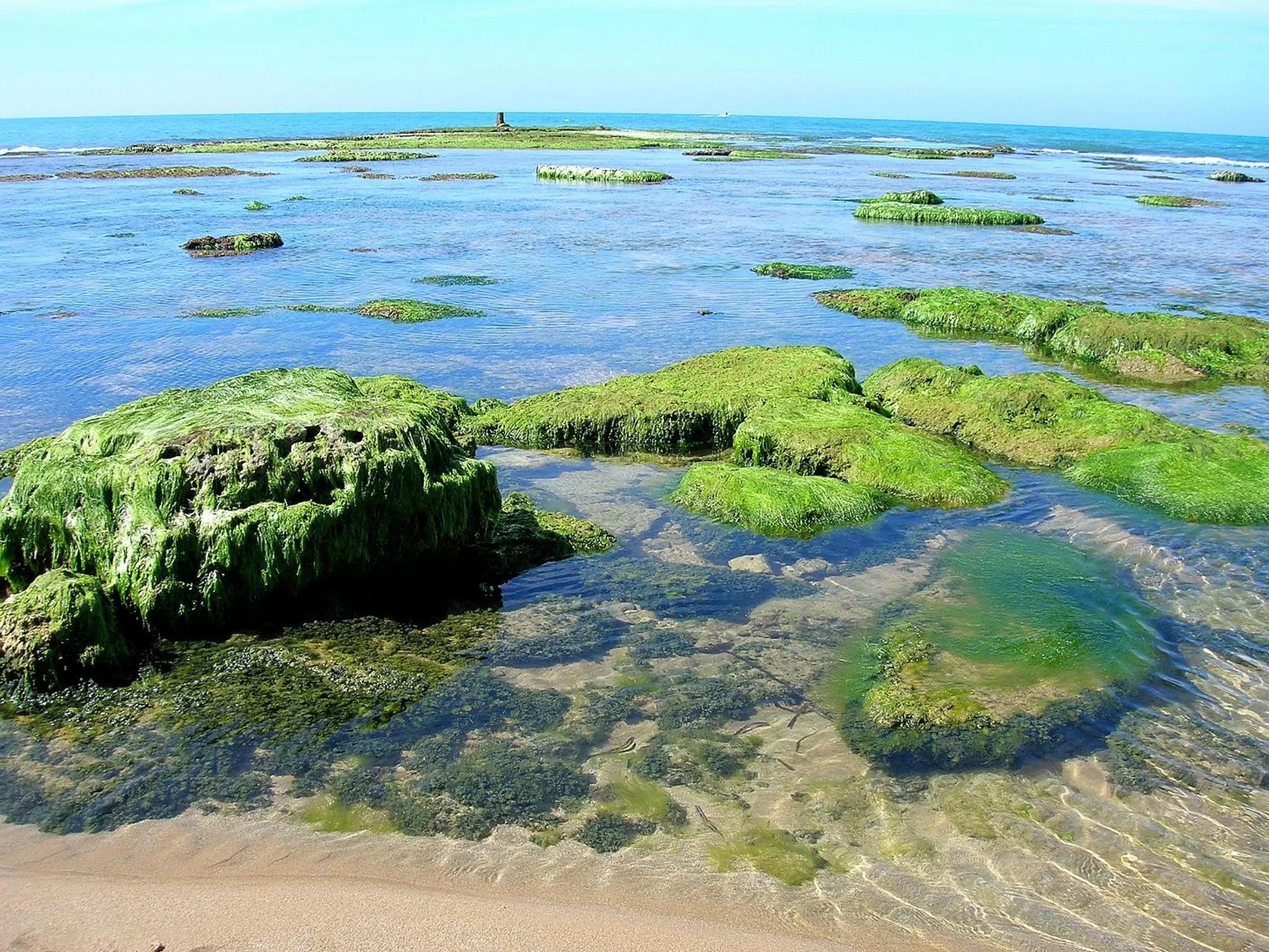 Spring, Bird's-eye View in Casa Vacanze Sogno Siciliano