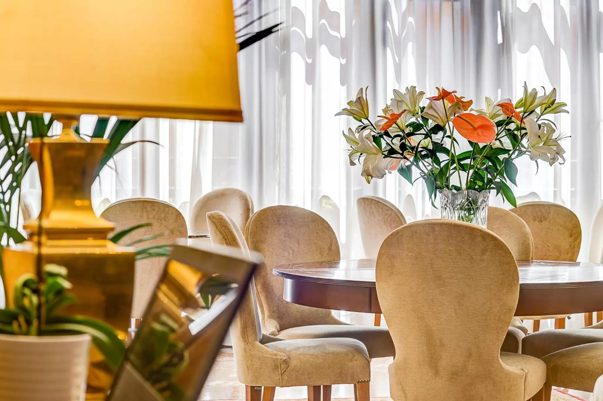 Area and facilities in Ca' Cappellis