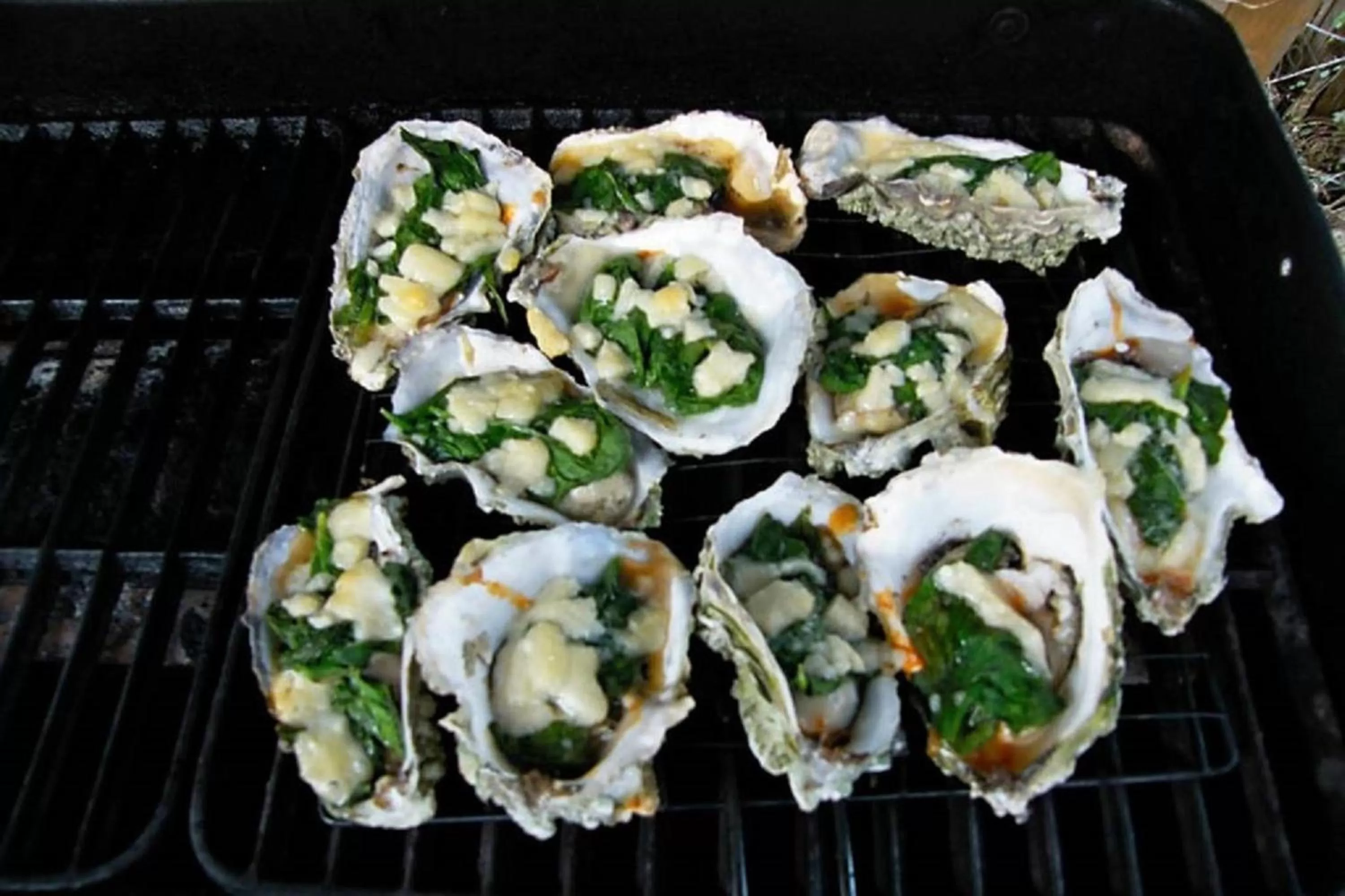 Fishing in Qualicum Breeze Beach Resort