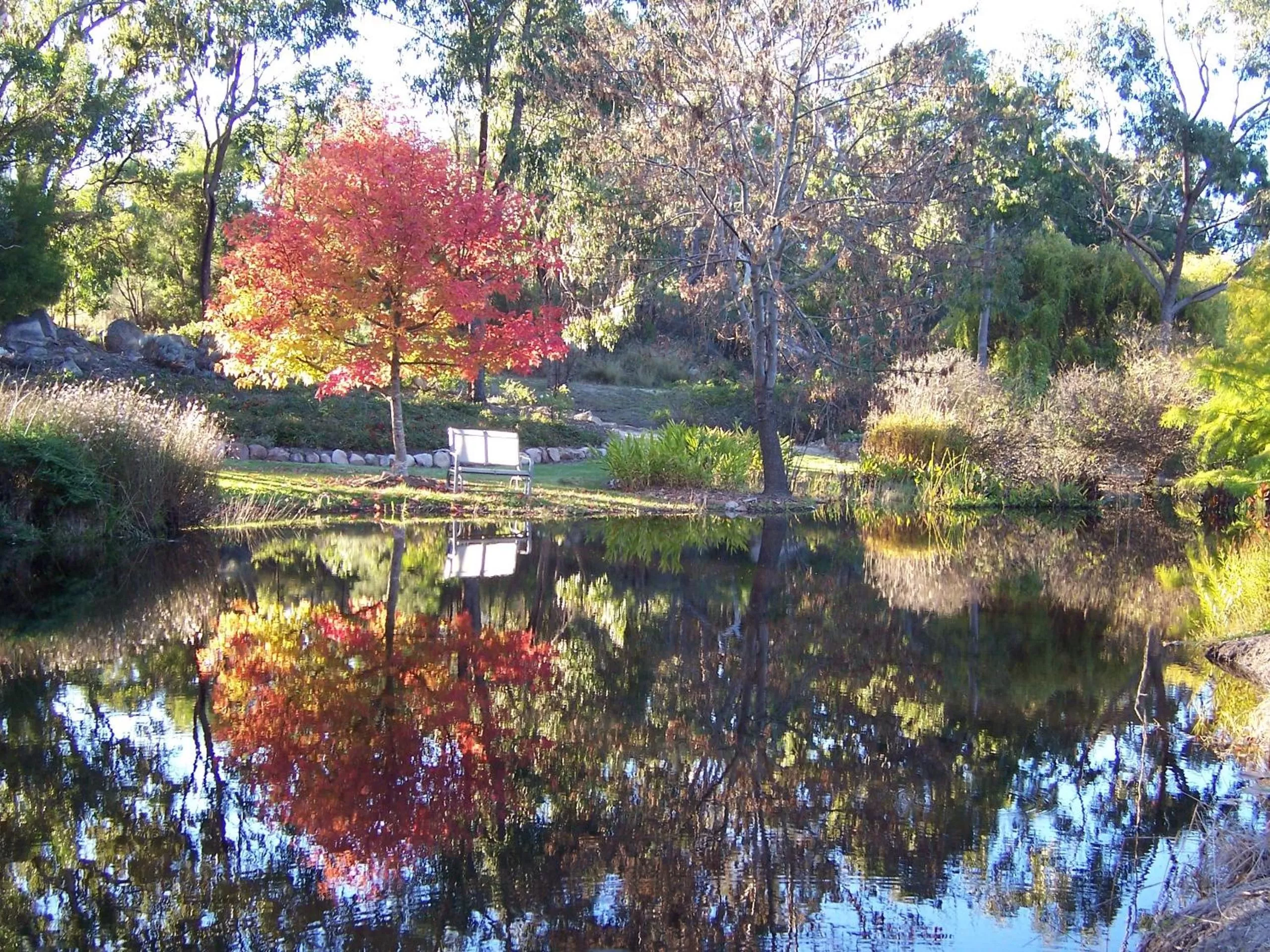 Garden in Granite Gardens Cottages & Lake Retreat
