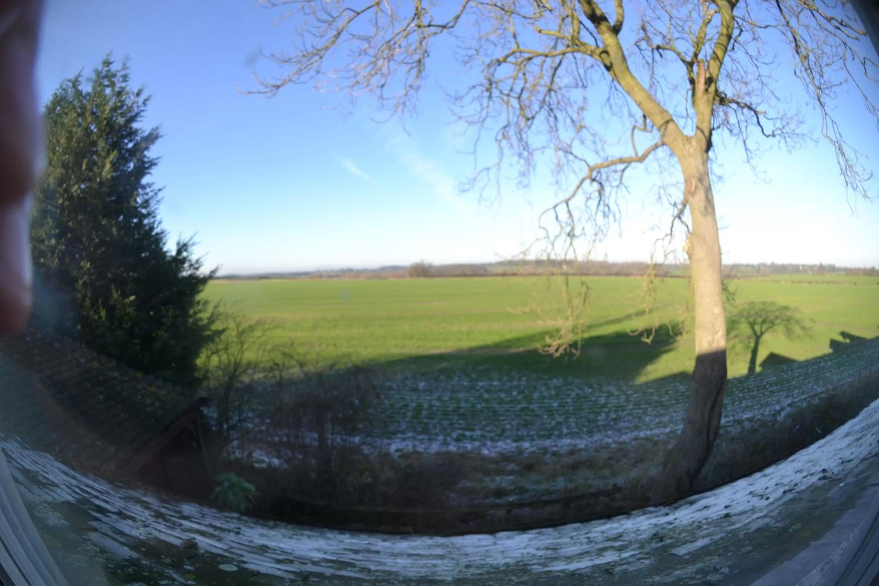 Garden in The Royal Arms Hotel Room Only