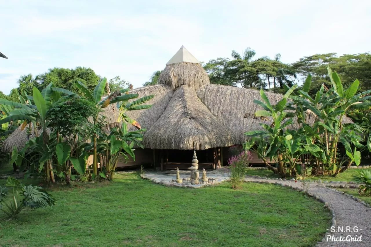 Garden in Ecolodge Cosmogénesis