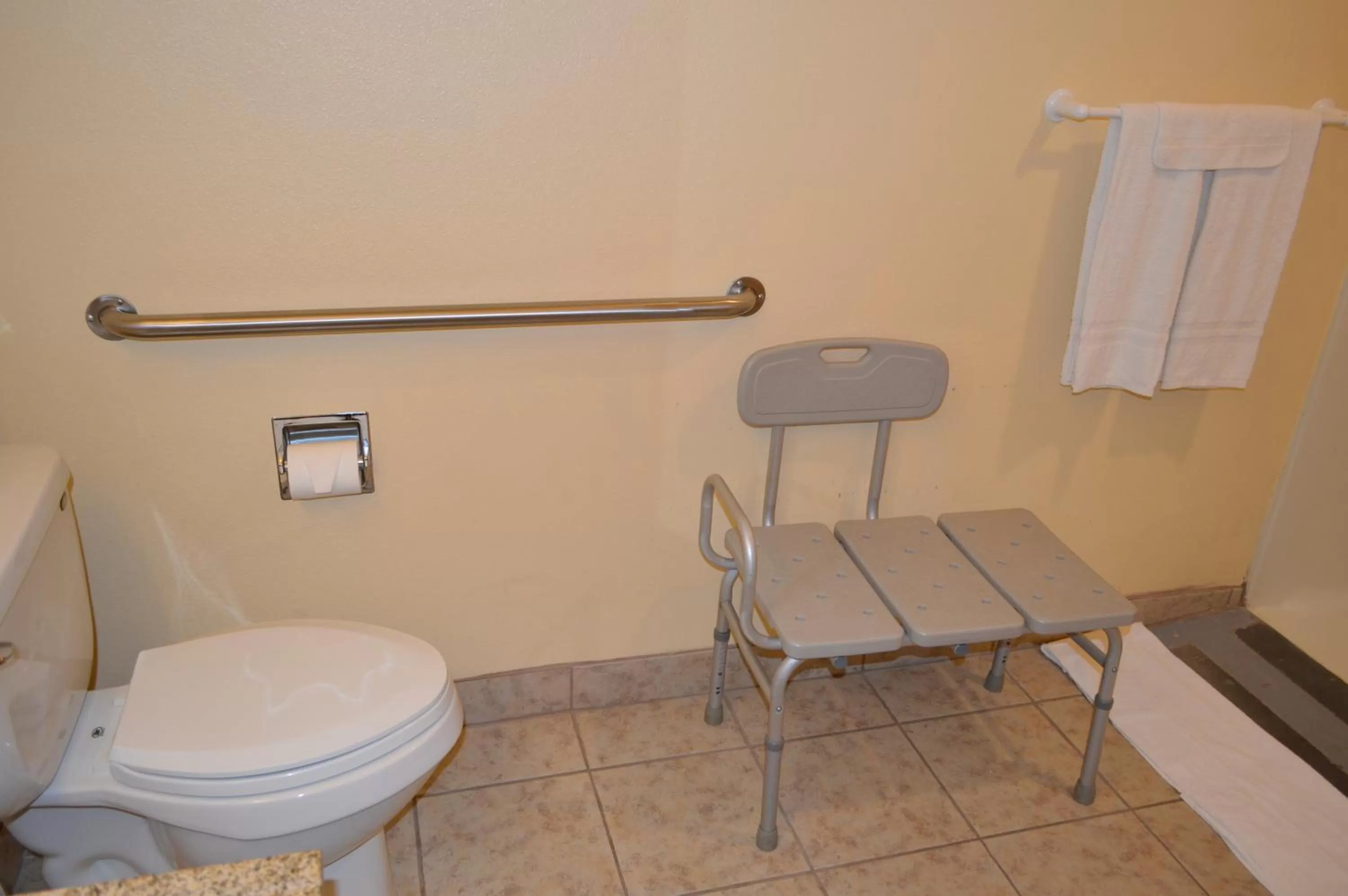 Toilet in Western Motel