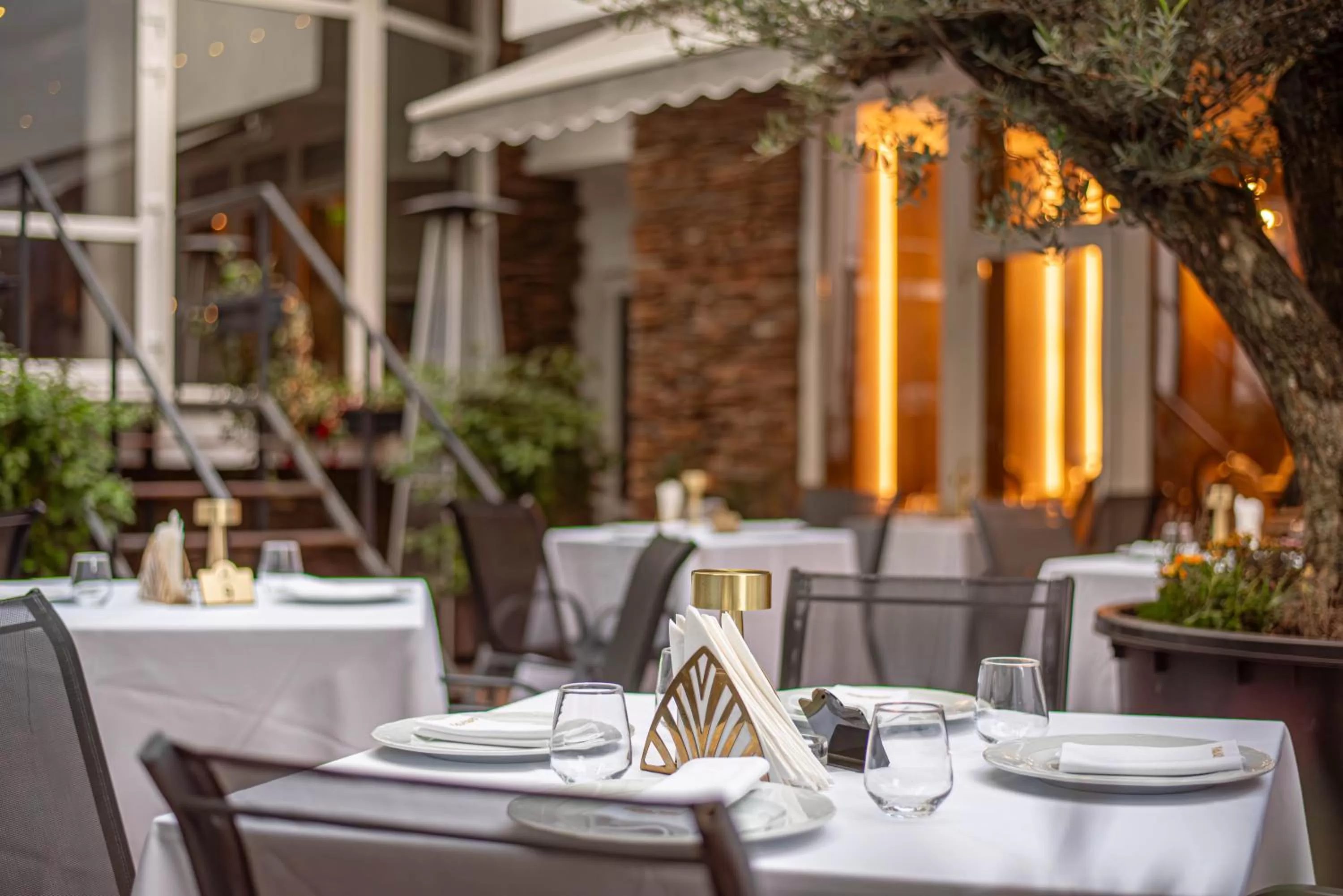 Seating area in Hotel Carpathia