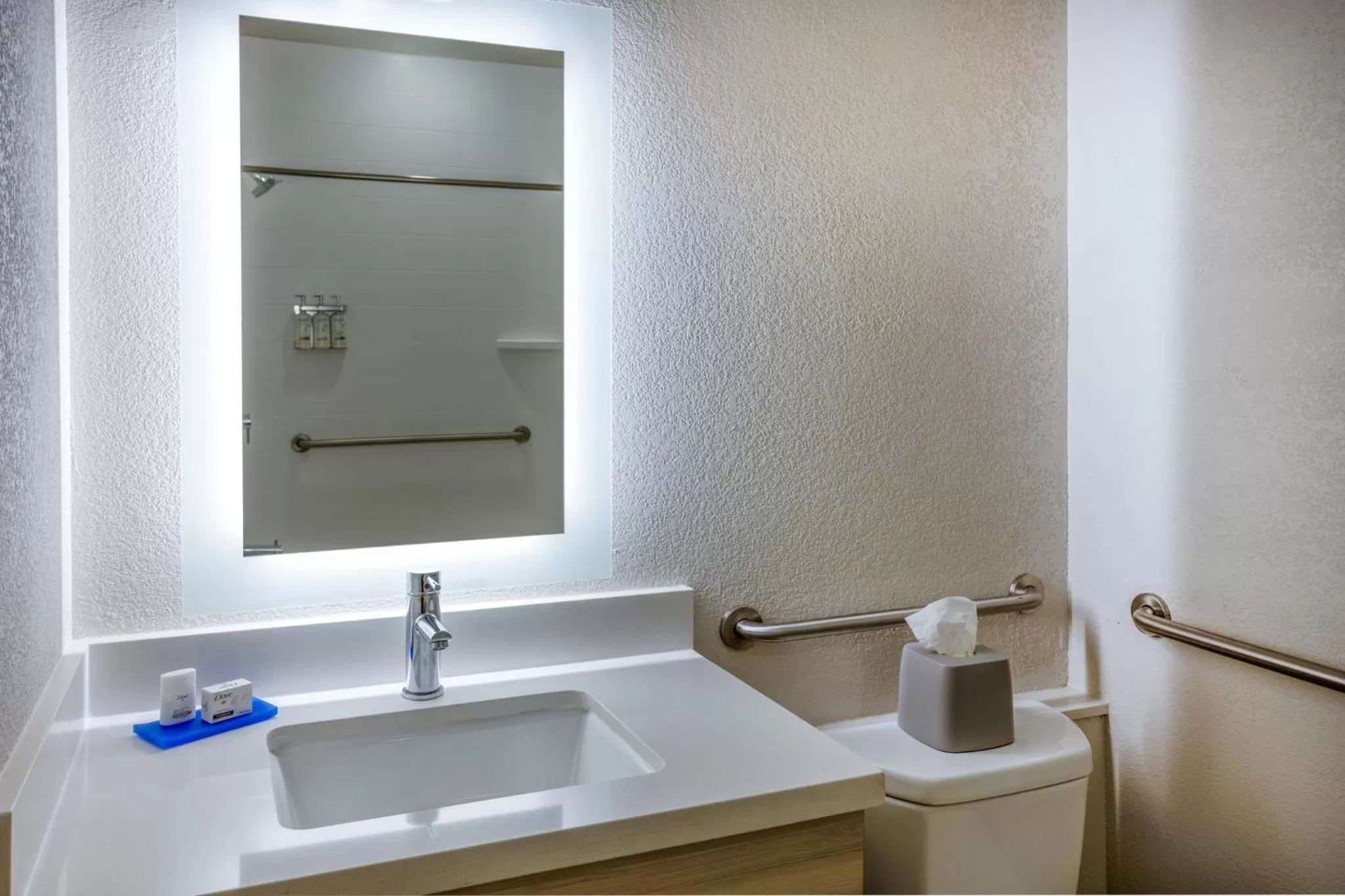 Bathroom in Holiday Inn Express Hotel & Suites Salisbury - Delmar by IHG
