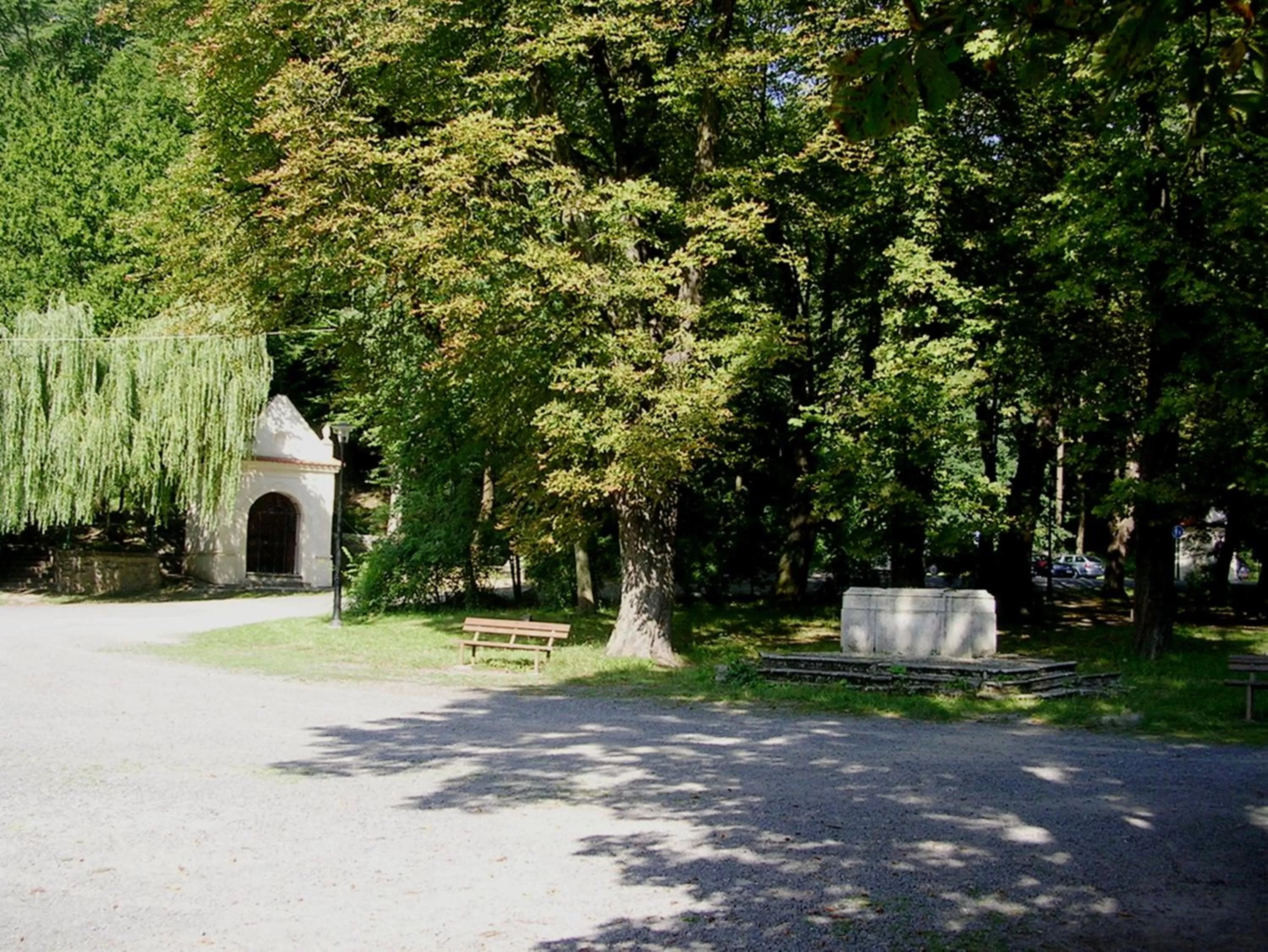 Neighbourhood in Spa & Pool Apartment Hotel - Restaurant VILLA IVICA