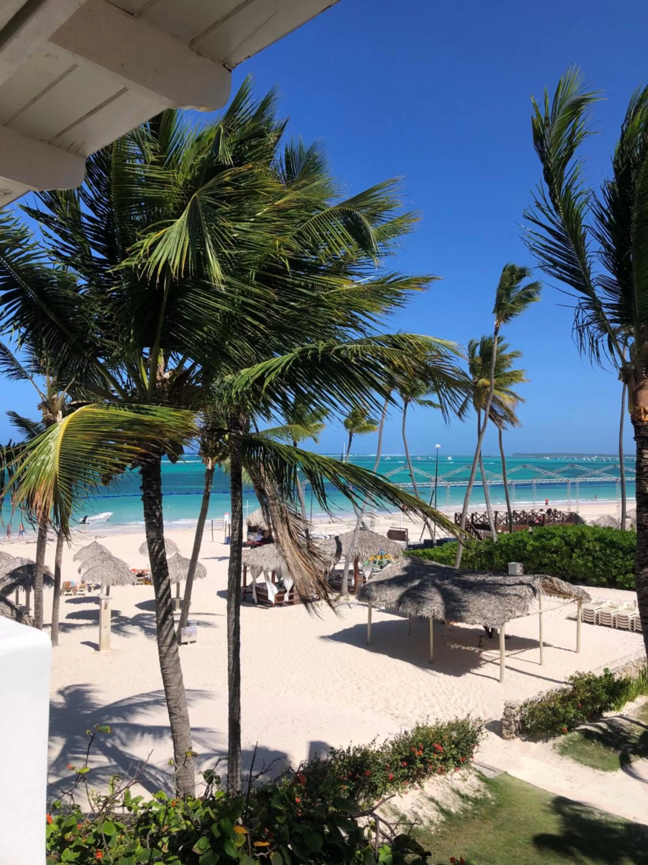 Beach in Los Corales Luxury Villas Beach Club and Spa