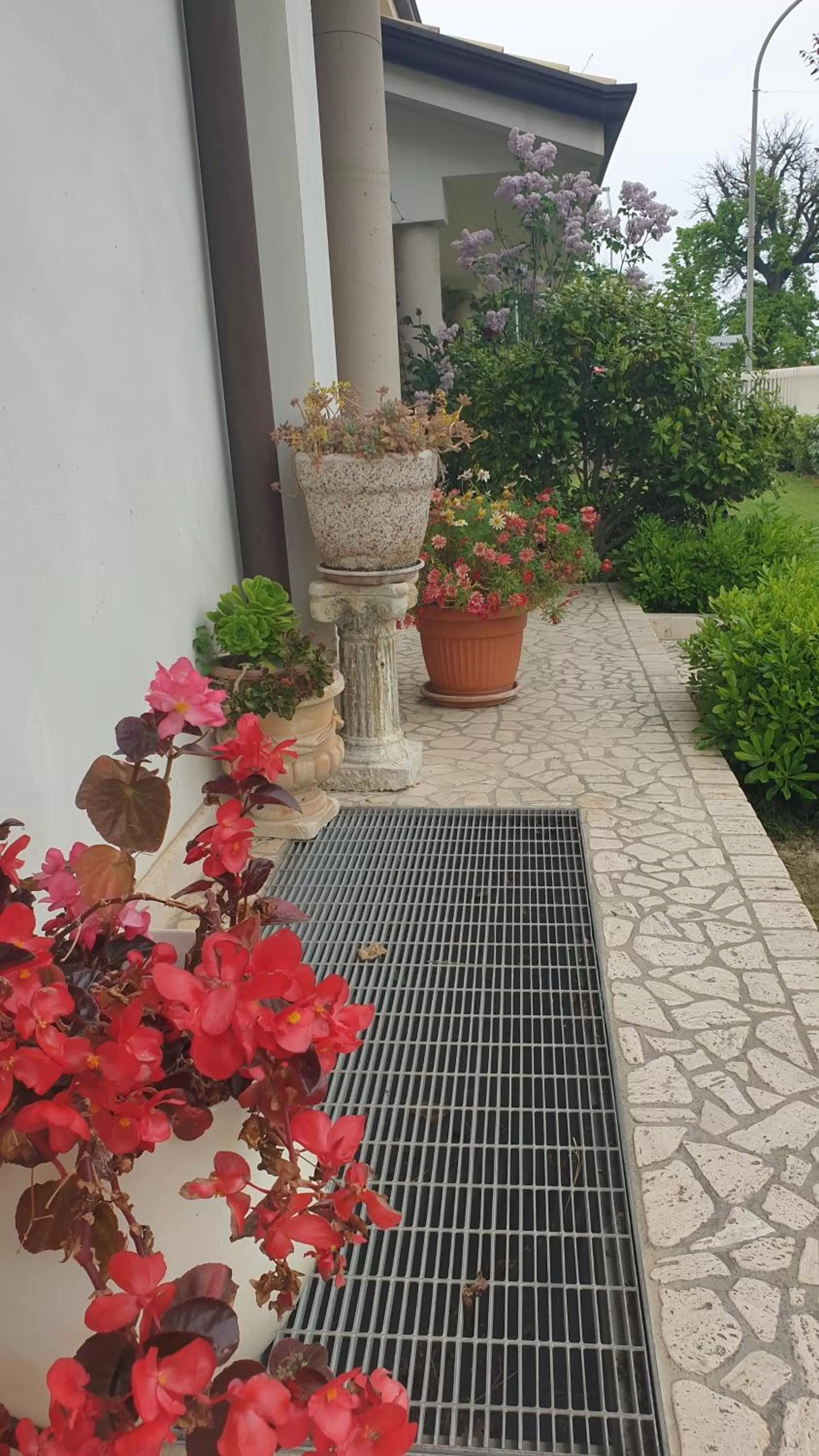 Garden in Villa Gioia Rooms