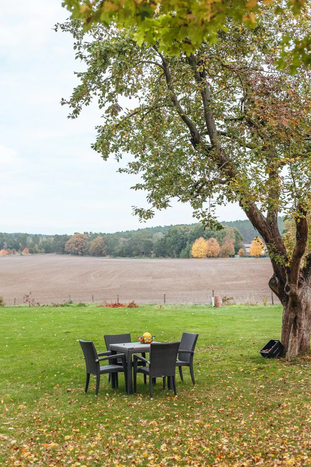 View (from property/room) in Hotel Zur Linde Dein Self Check In