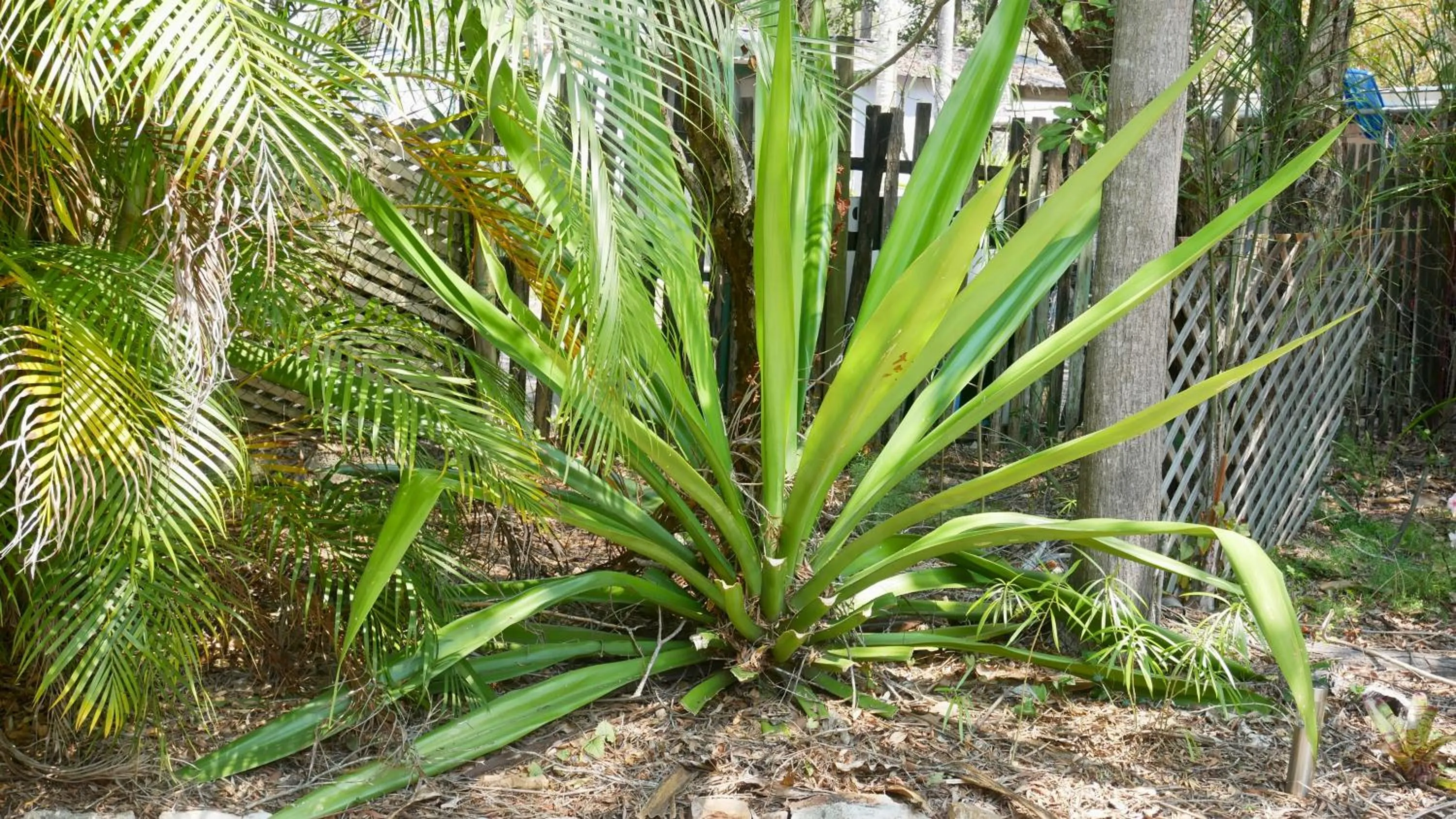 Emeraldene Inn & Eco-Lodge