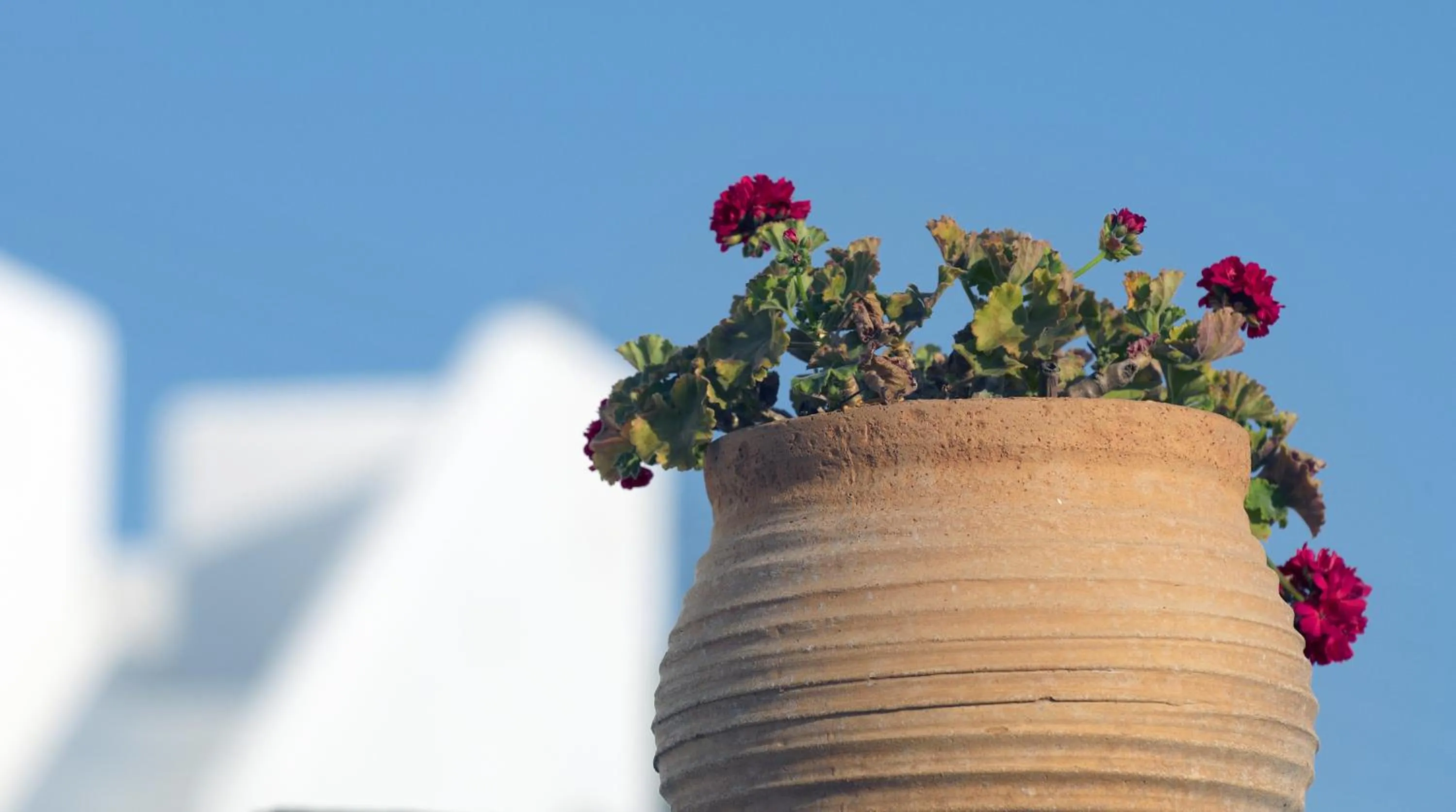 Other in Mykonos View Hotel