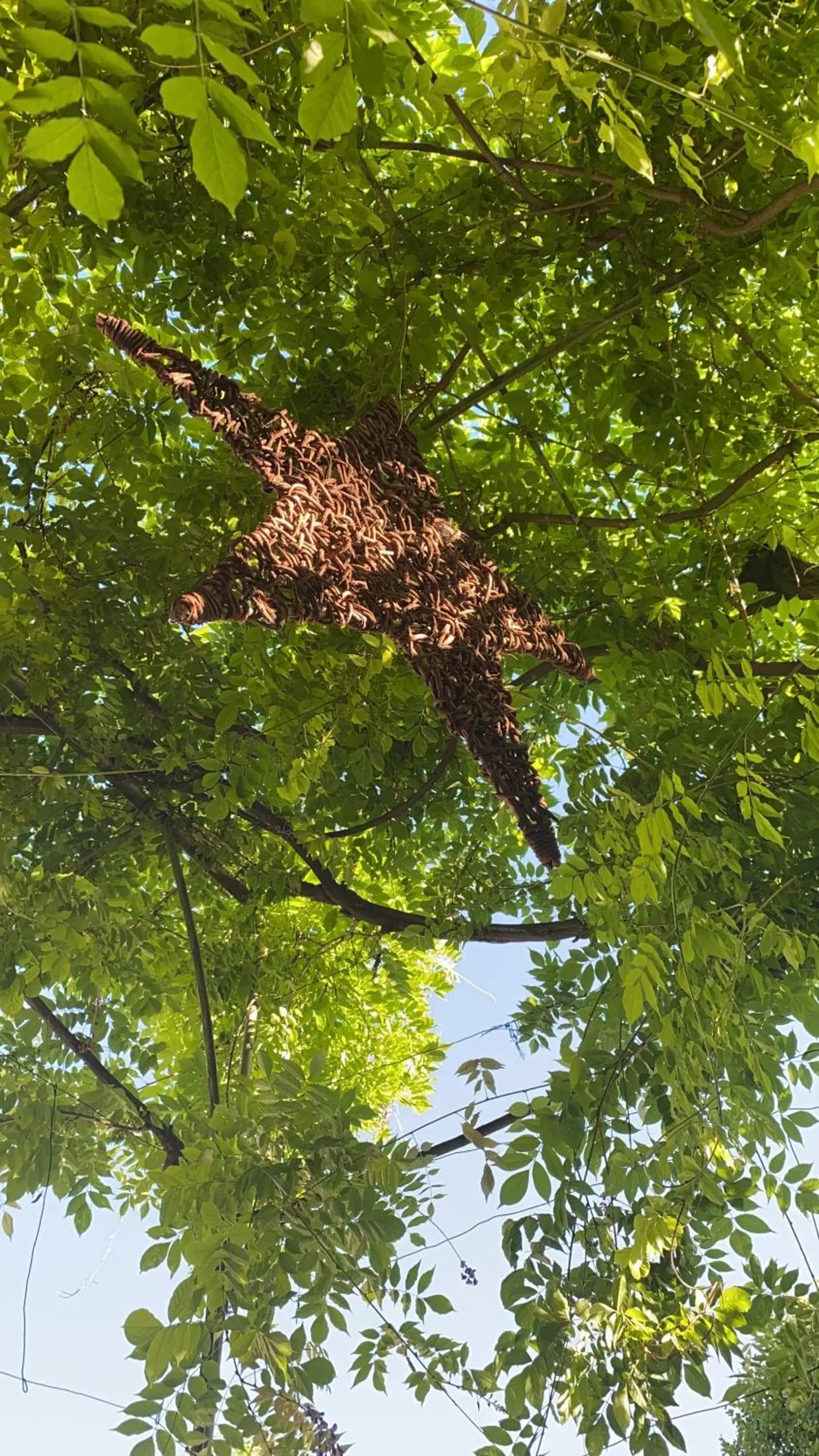 Garden in La maison Gerval