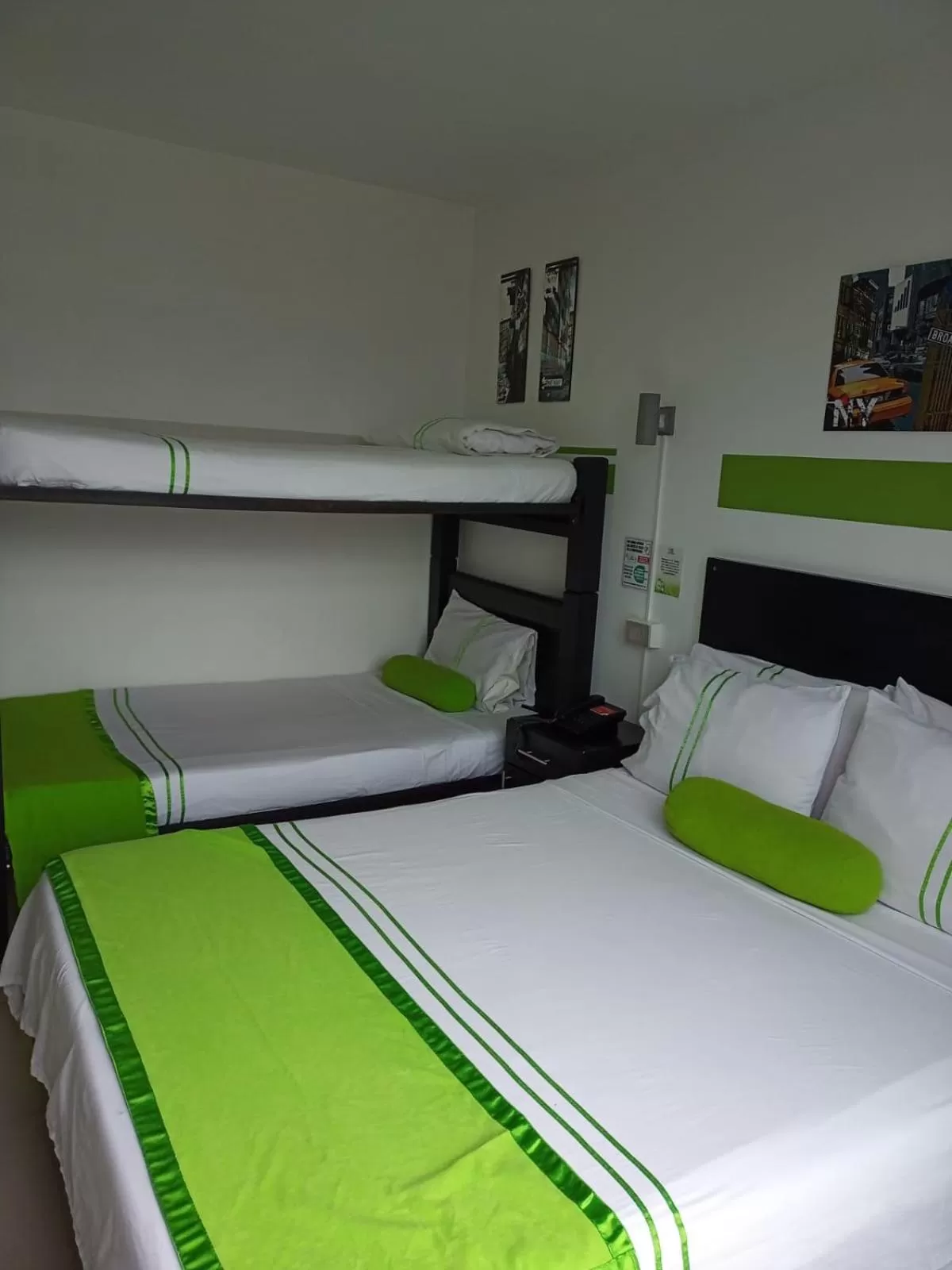 Bed, Bunk Bed in HOTEL COLOURS Cali