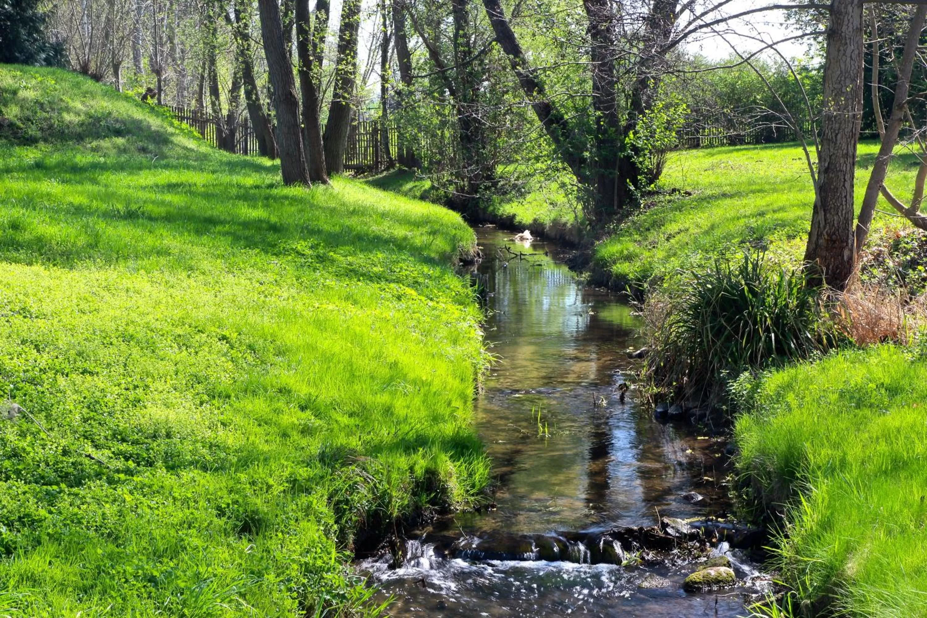Garden in Landhotel Bad Dürrenberg
