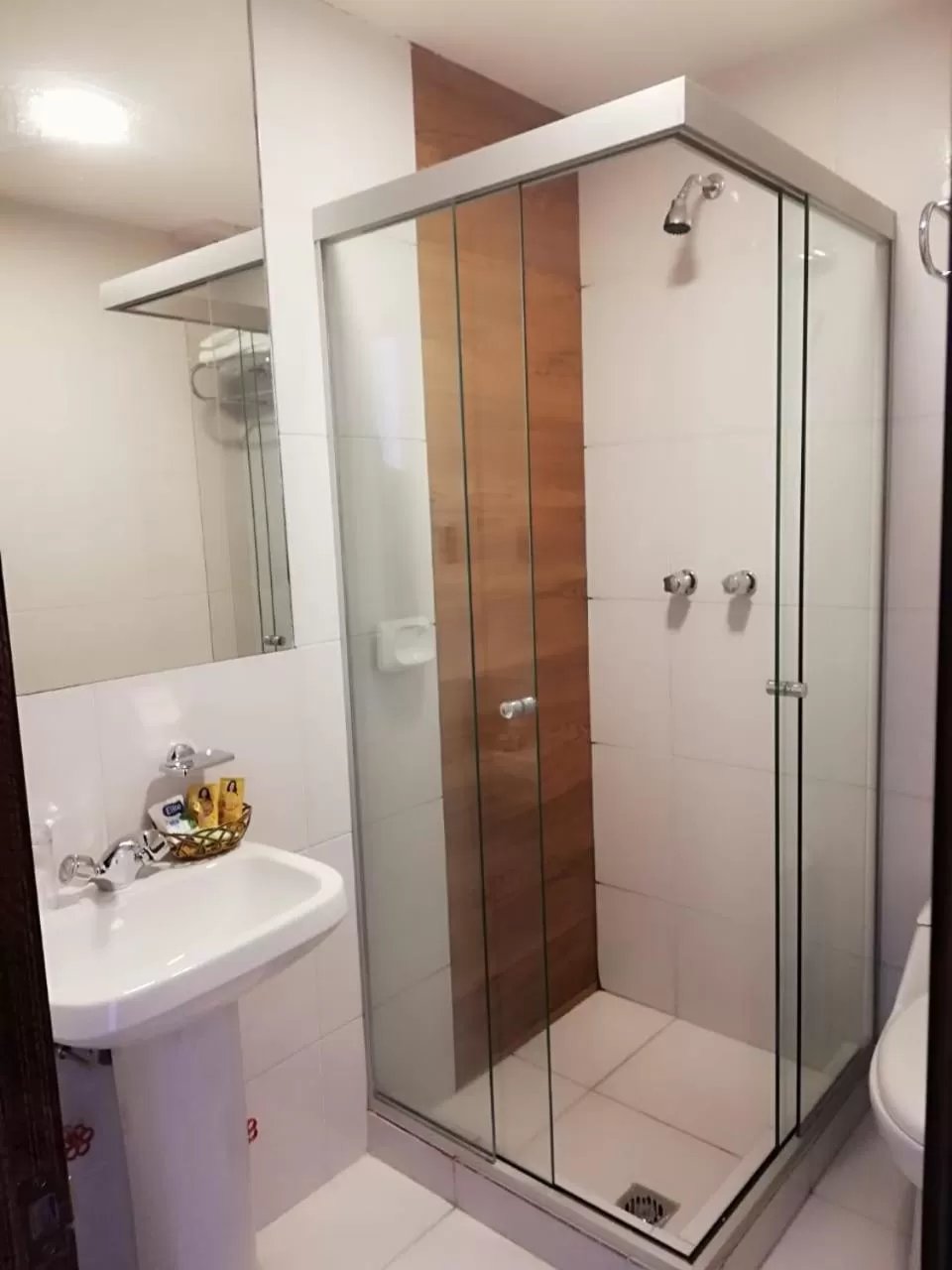 Shower, Bathroom in Hotel Madrid