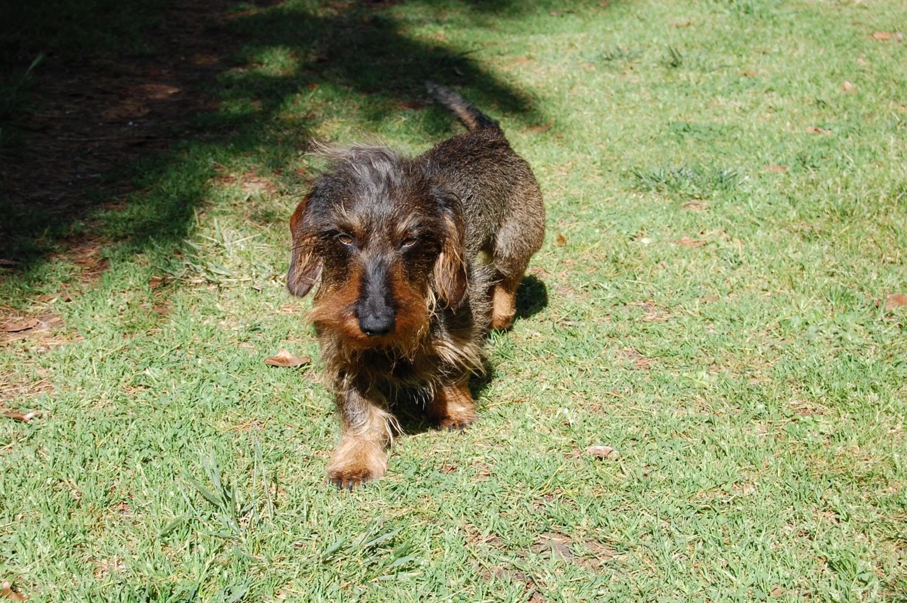 Decorative detail in Madeleine Bergerac