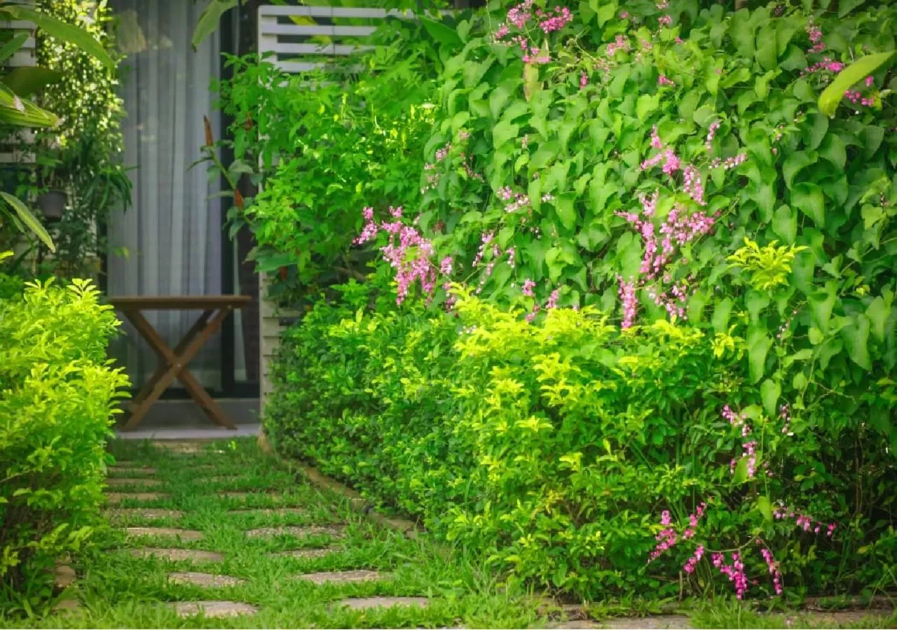 Patio, Garden in Ladear Privilege Rooms