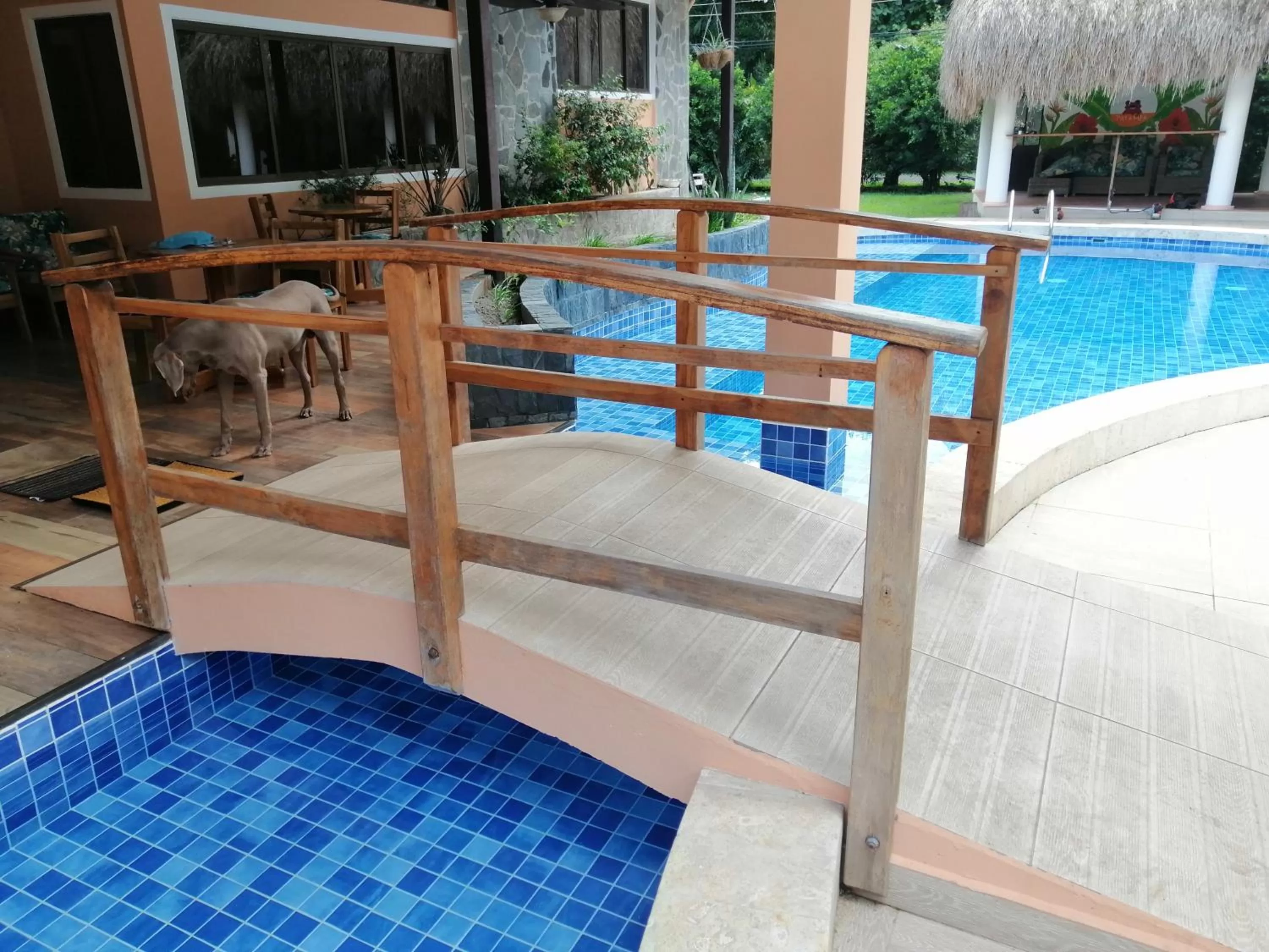 Swimming Pool in Hotel-Boutique Patampa