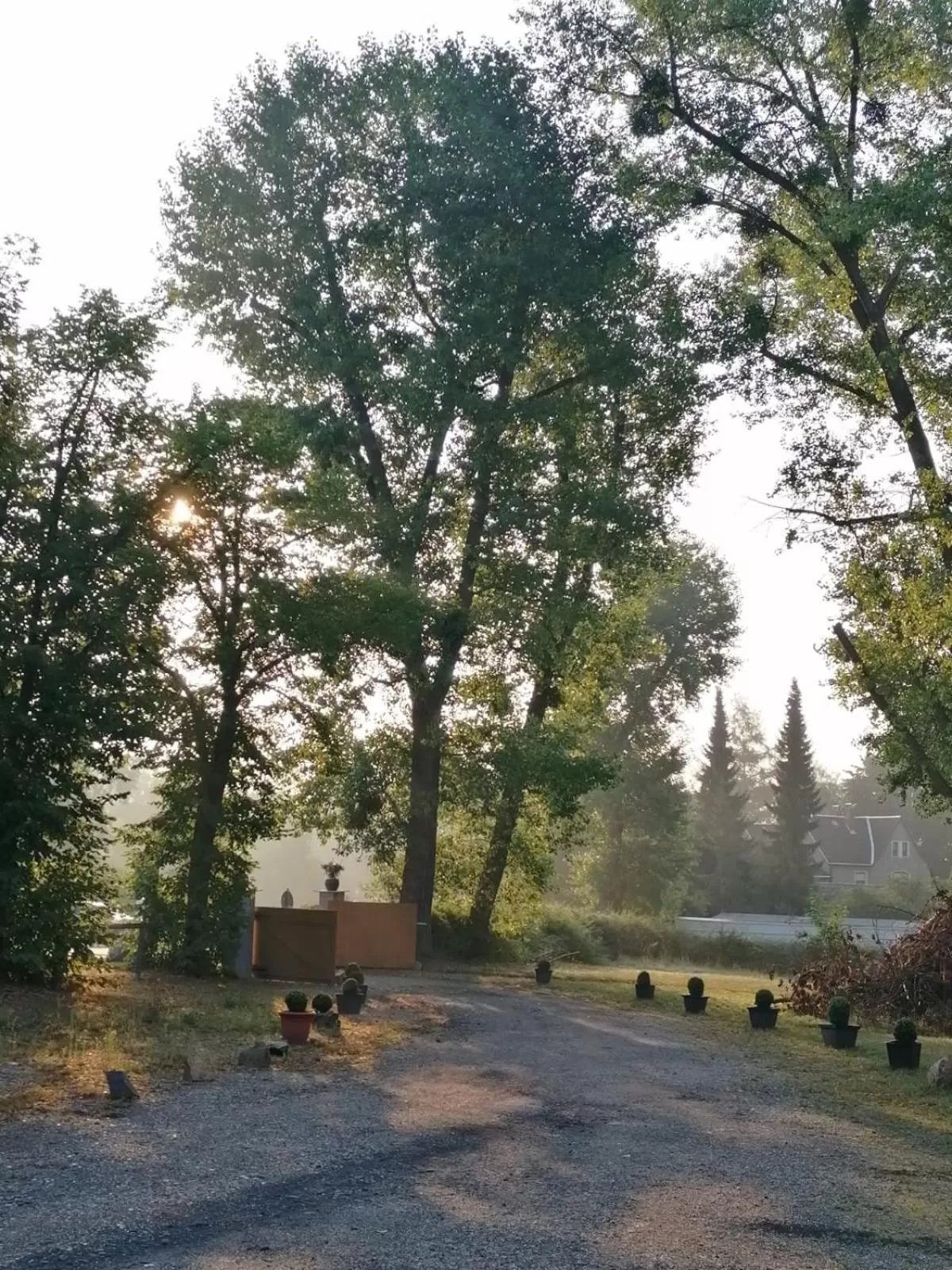 Property building in Hotel zur Köppe