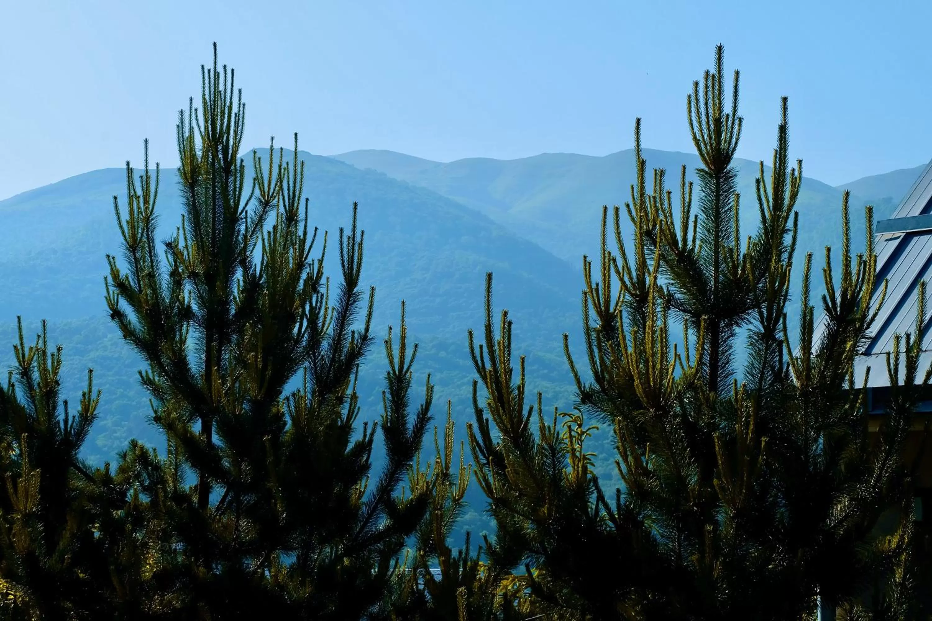 Mountain View in Dil Hill by Sam