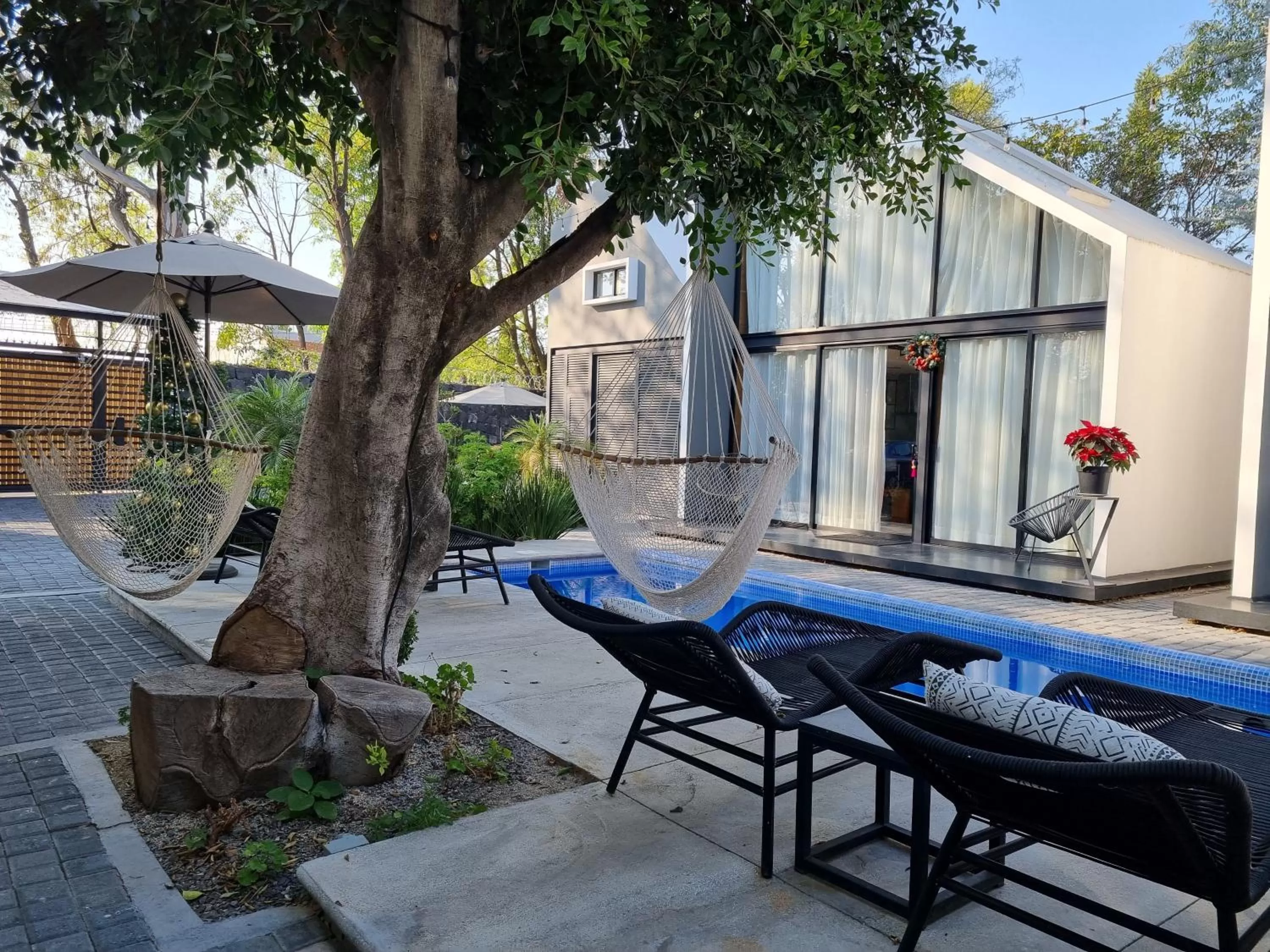 Swimming pool in Casa Samadhi